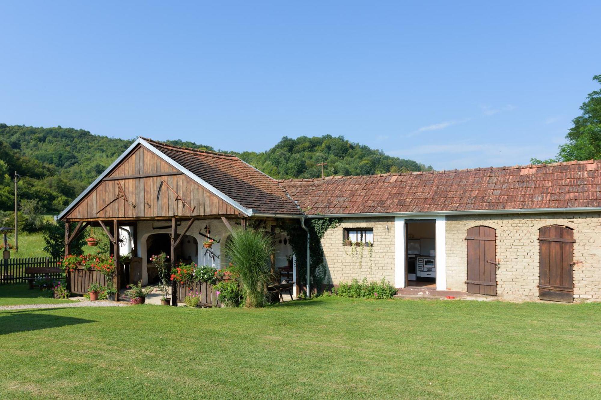 Photo 12