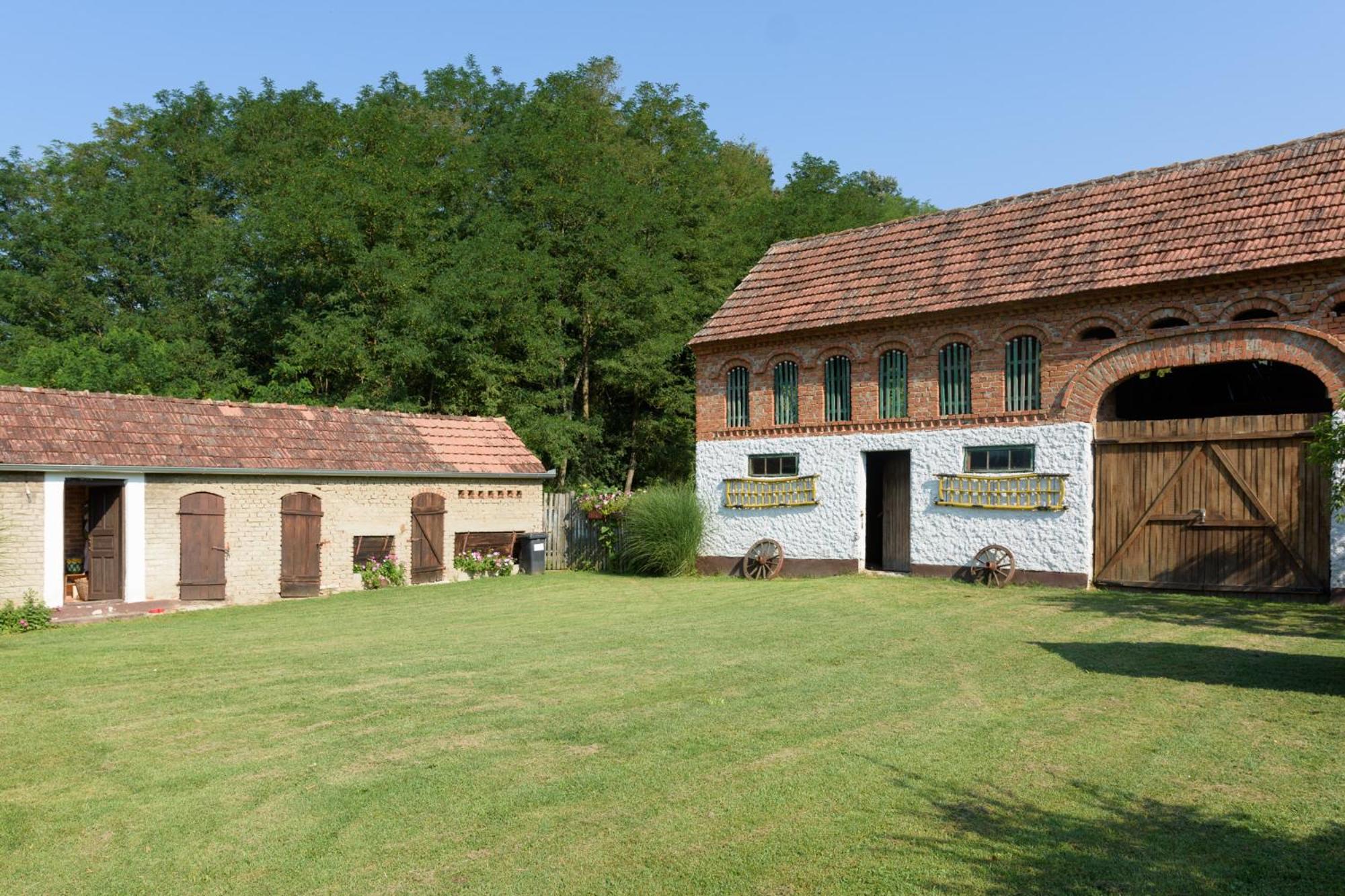 Photo 16