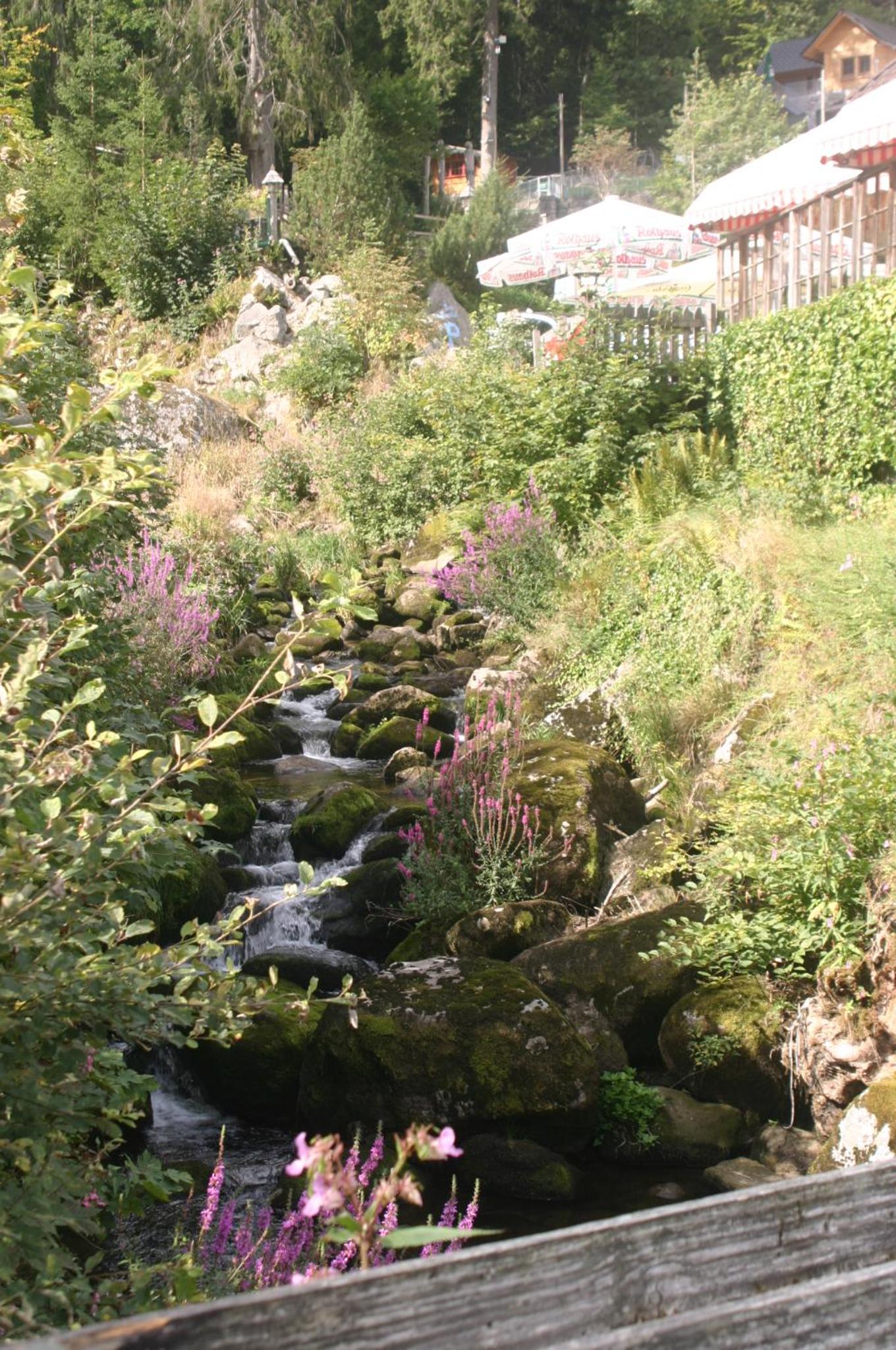 Photo 31