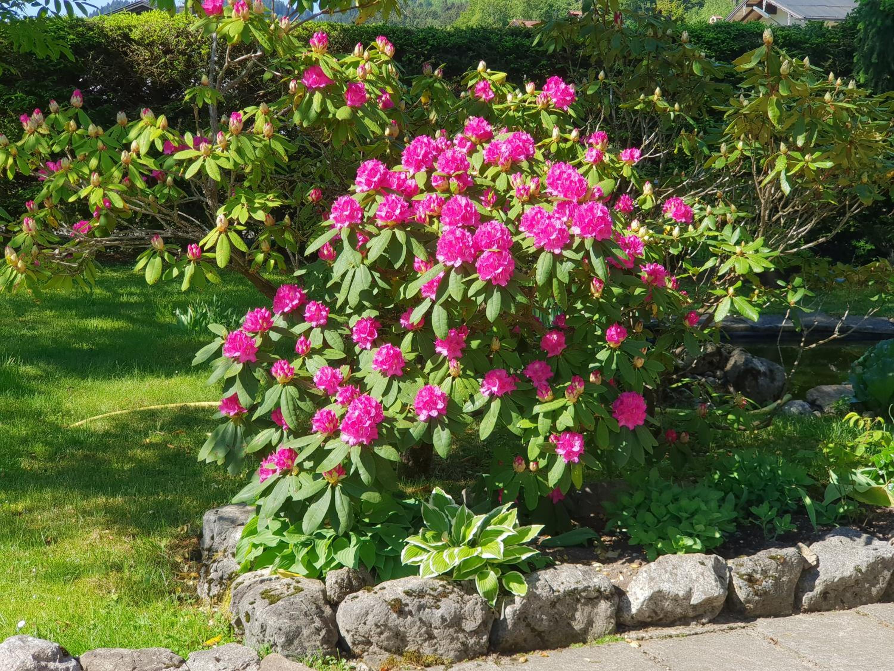 Photo 22
