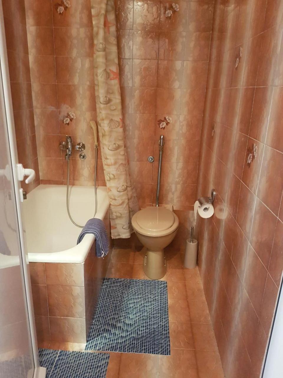 Apartmani Famelja Jovanovic view 2