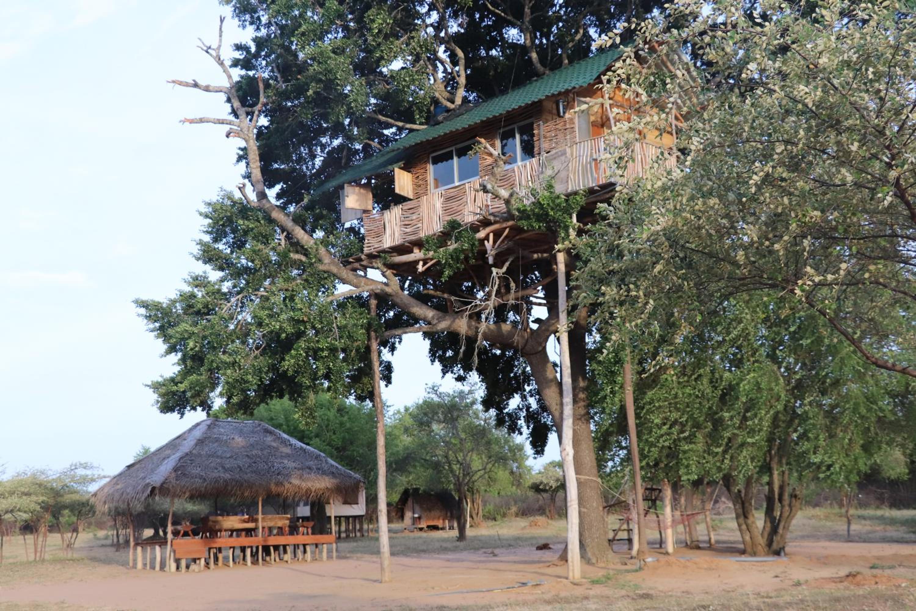 Photo 17