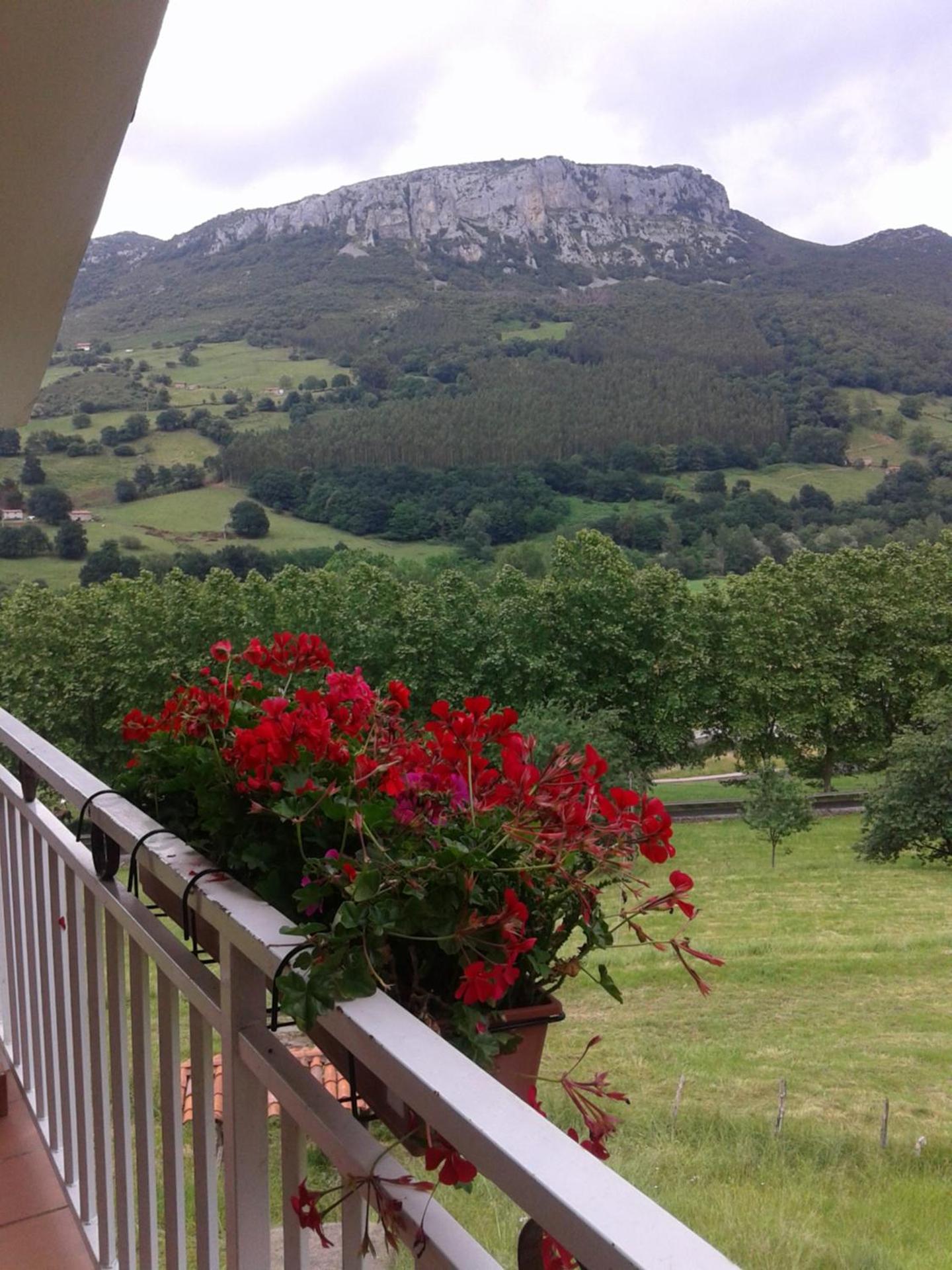 Finca Artienza