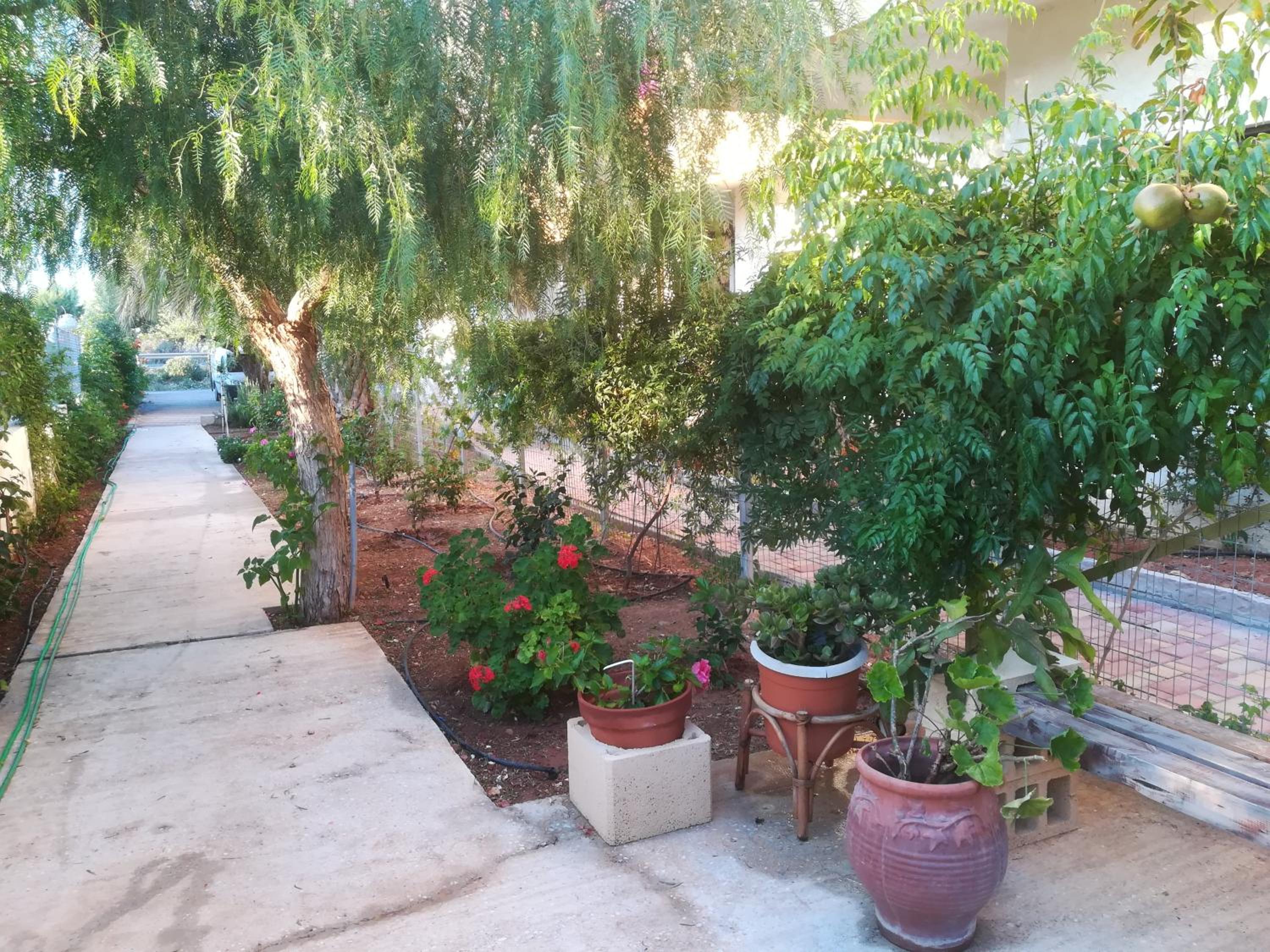 Marigianna view 4
