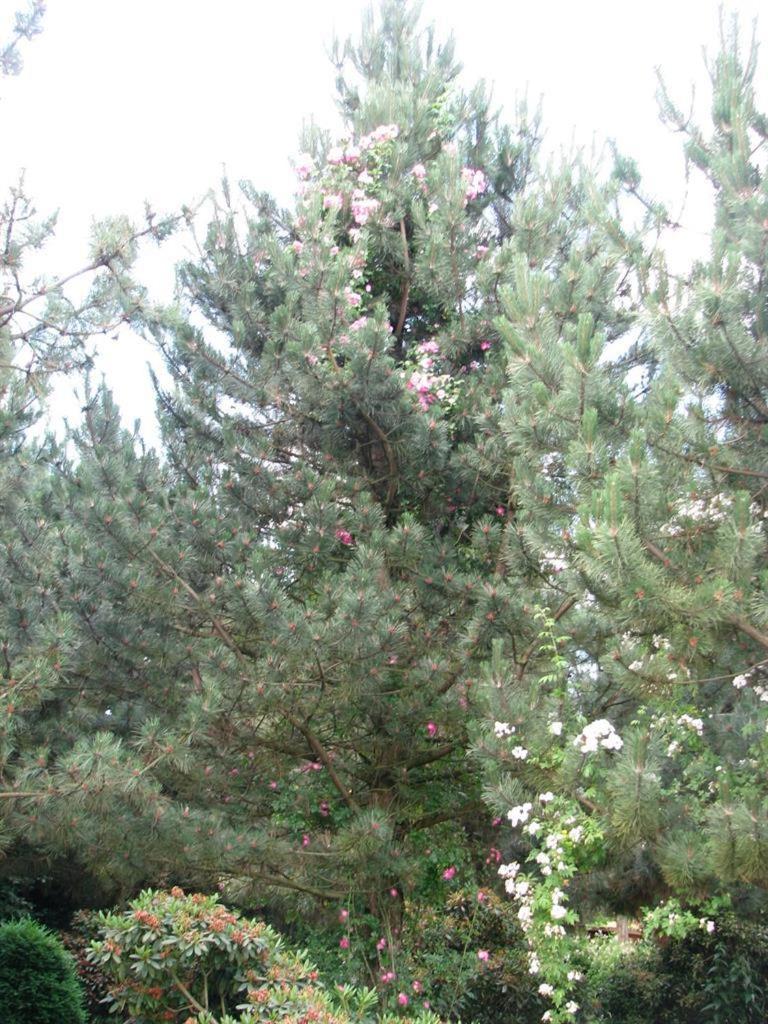 Photo 112