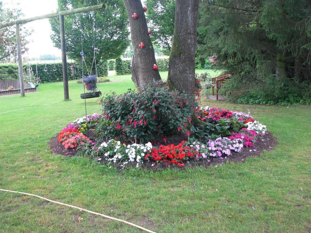 Photo 39