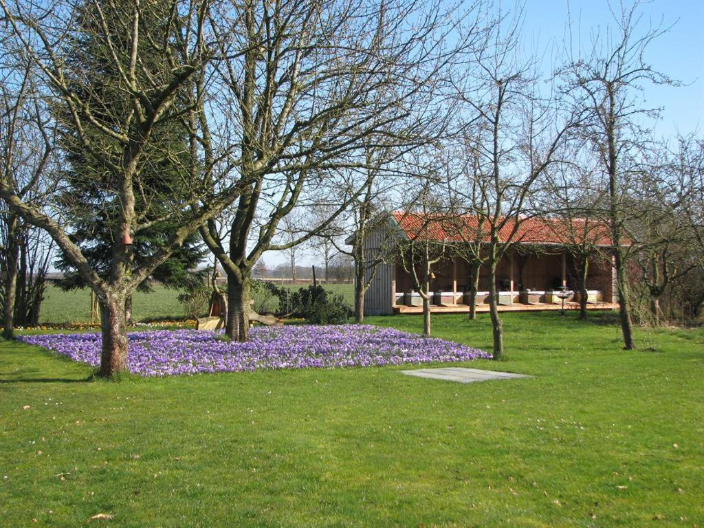 Photo 29