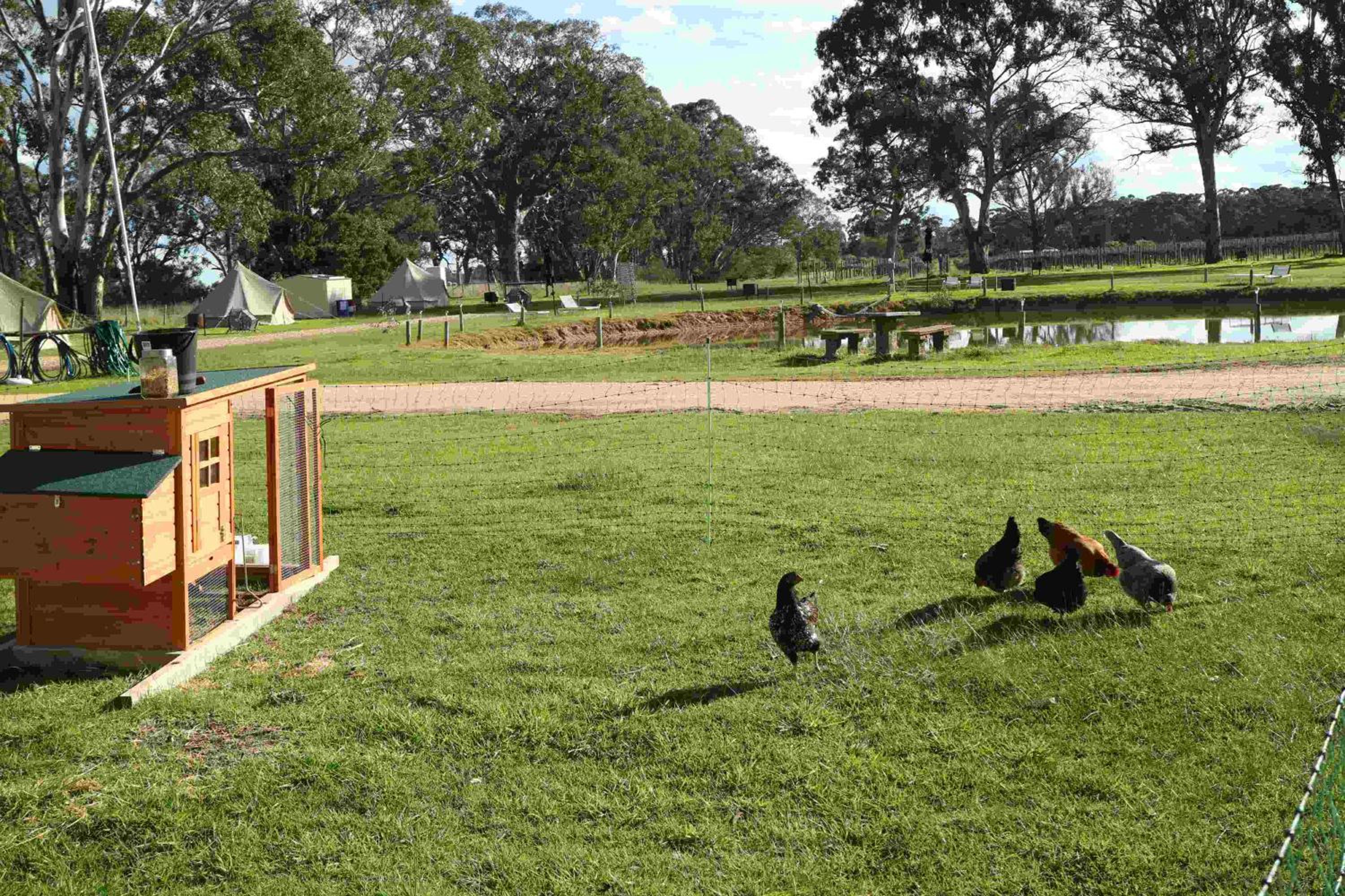 Coonawarra Ensuite Unit B
