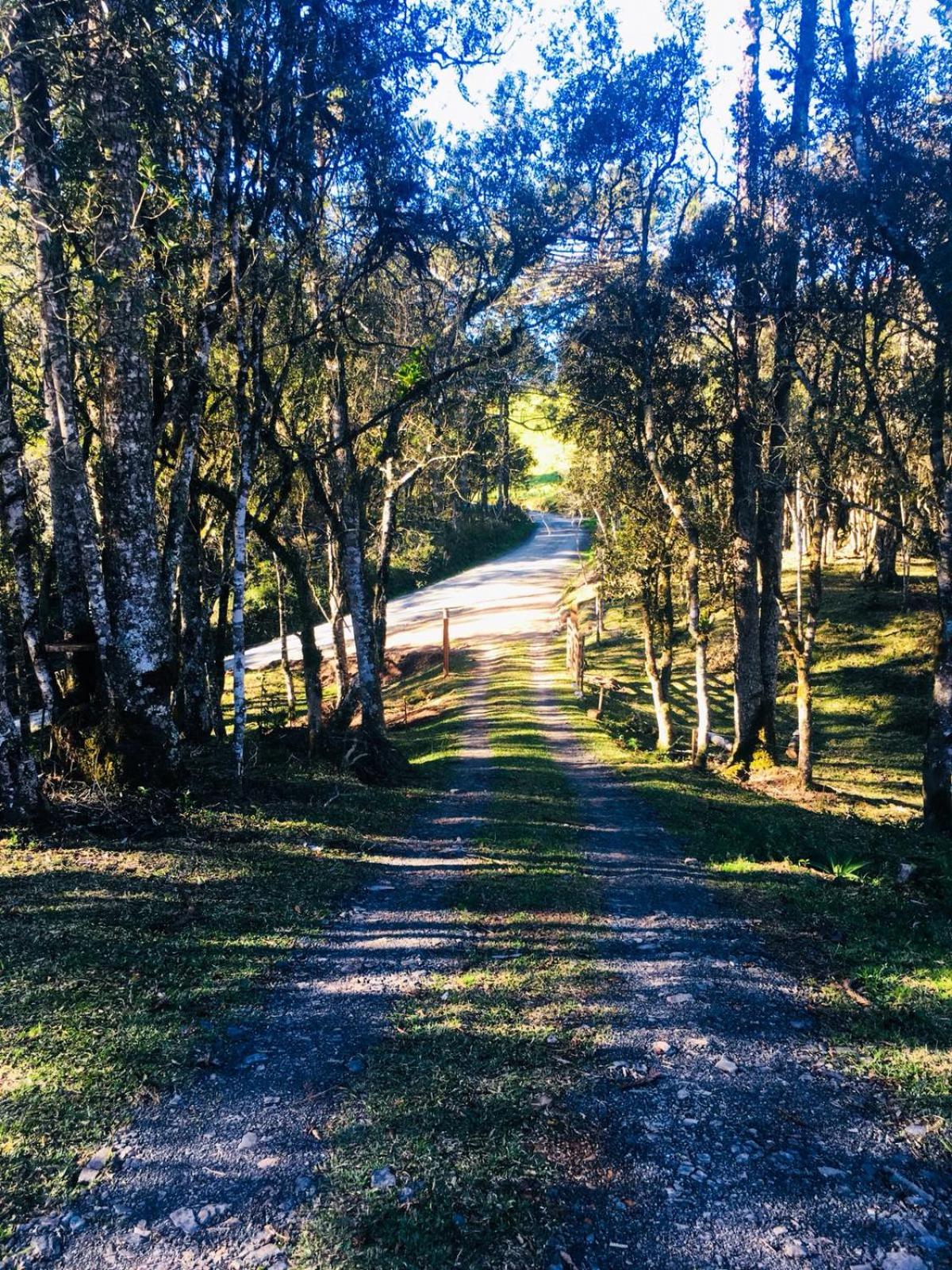 Casa de Campo Vale Rio dos Bugres
