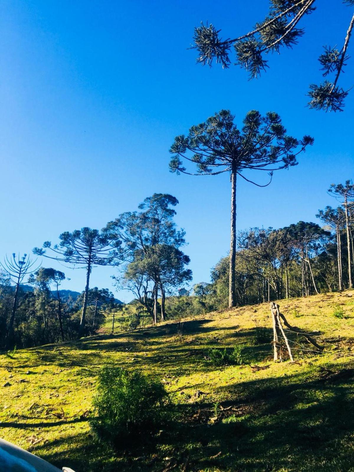 Casa de Campo Vale Rio dos Bugres