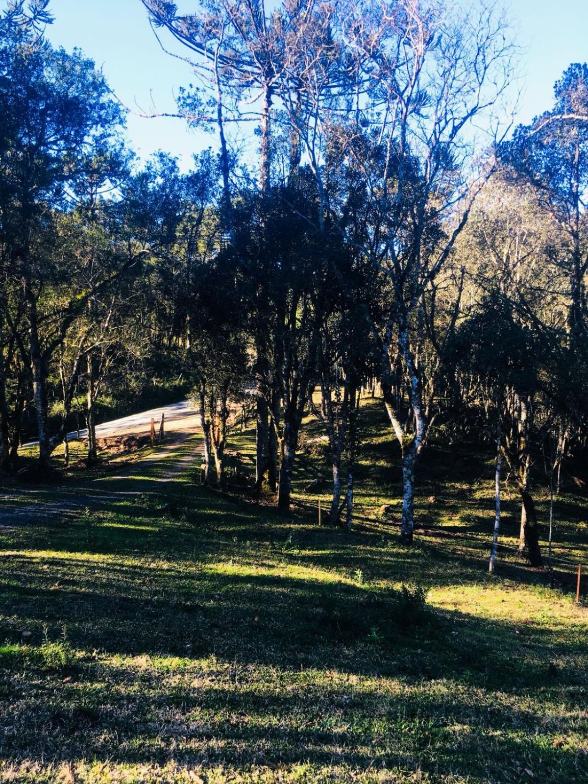 Casa de Campo Vale Rio dos Bugres