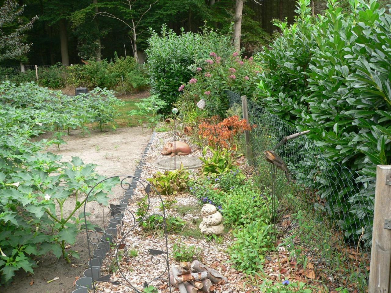 Photo 17