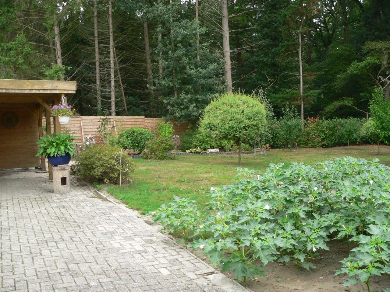 Photo 15