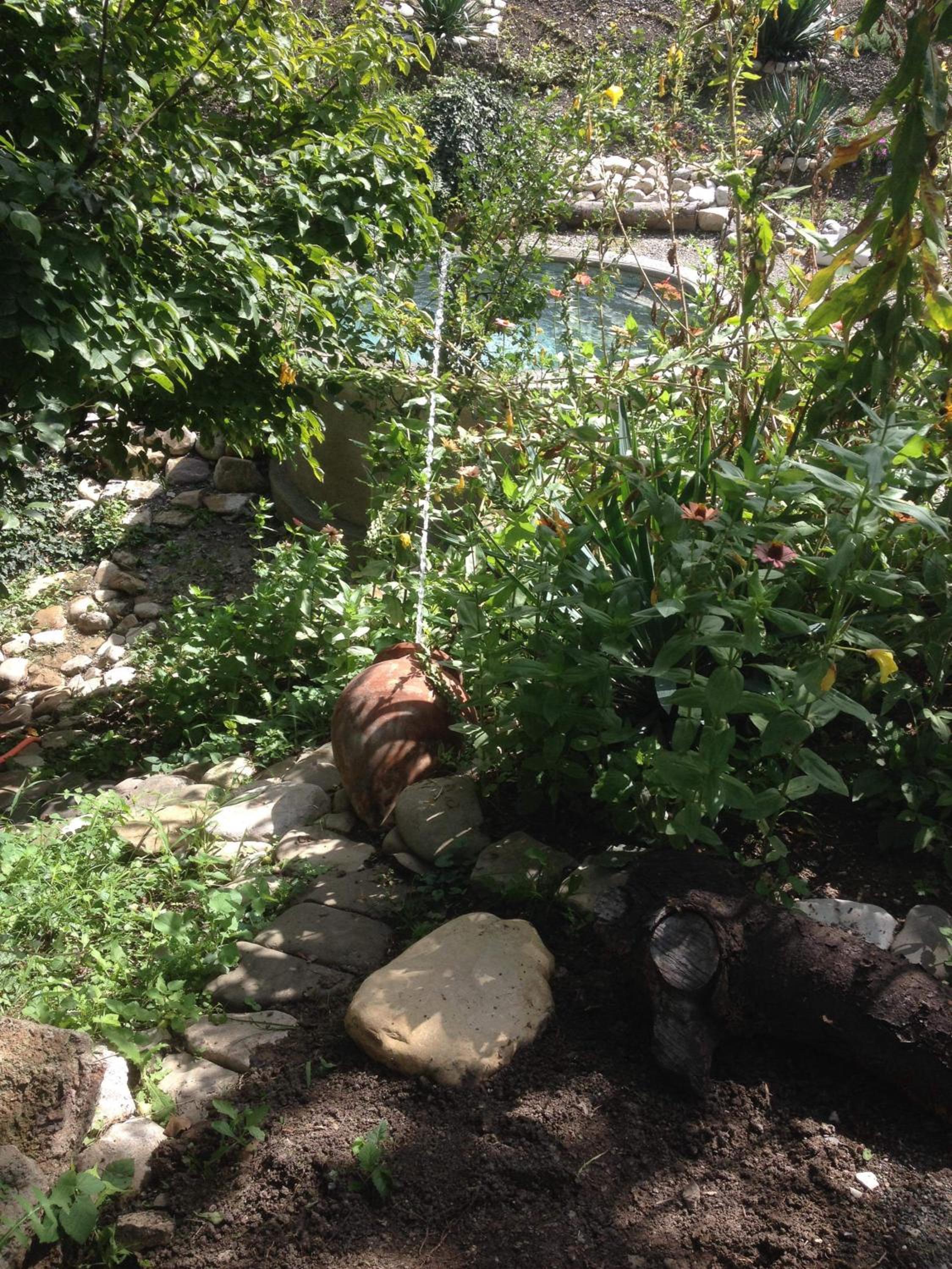 Photo 31