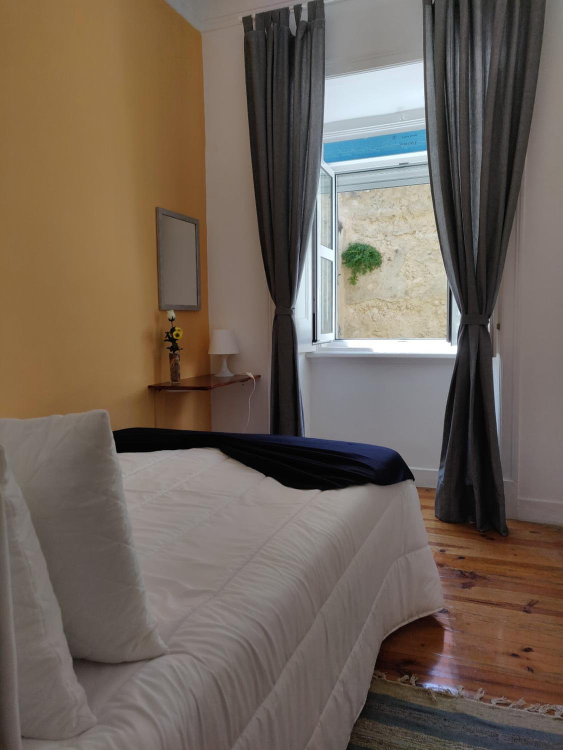 Campo Santana Apartment view 4