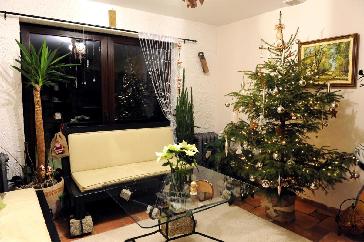 Leśna Strzecha view 5