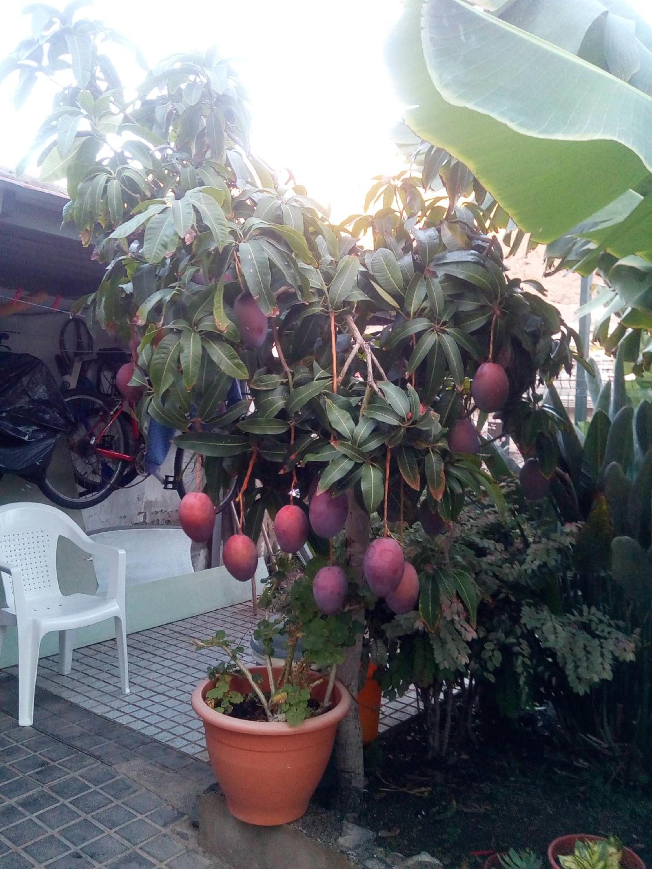 Pension Eva