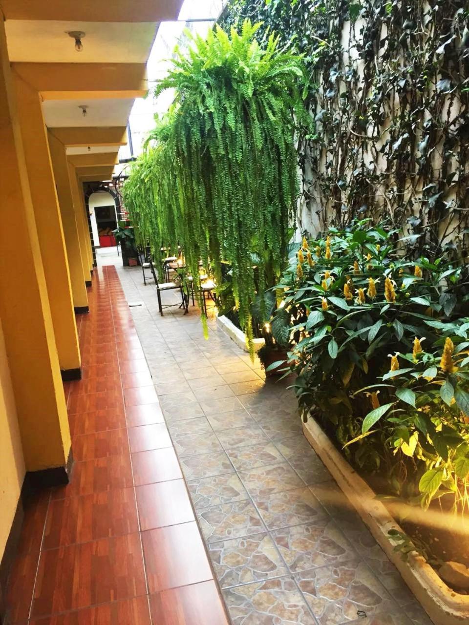 Hostal Antigua