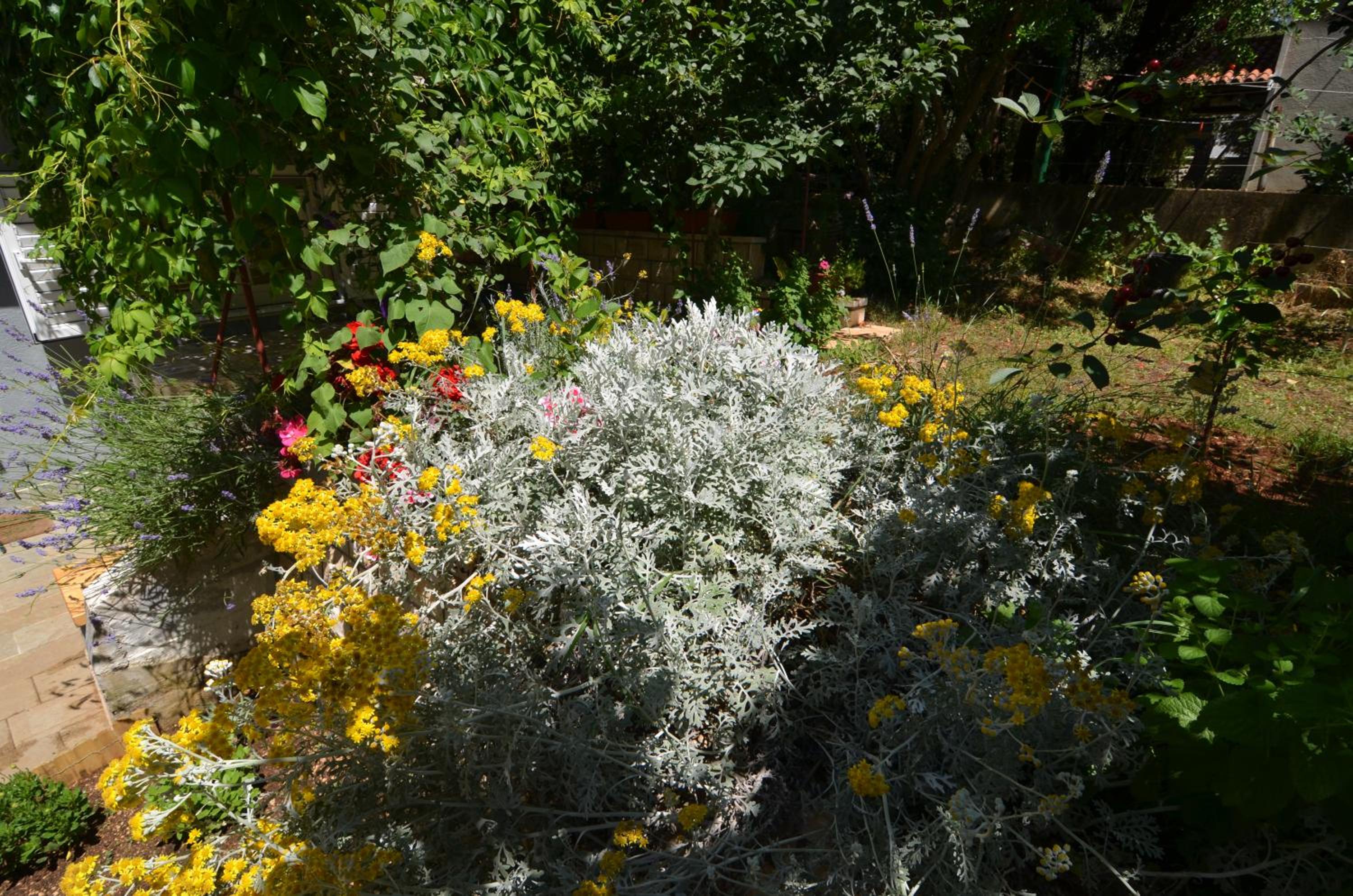 Photo 44