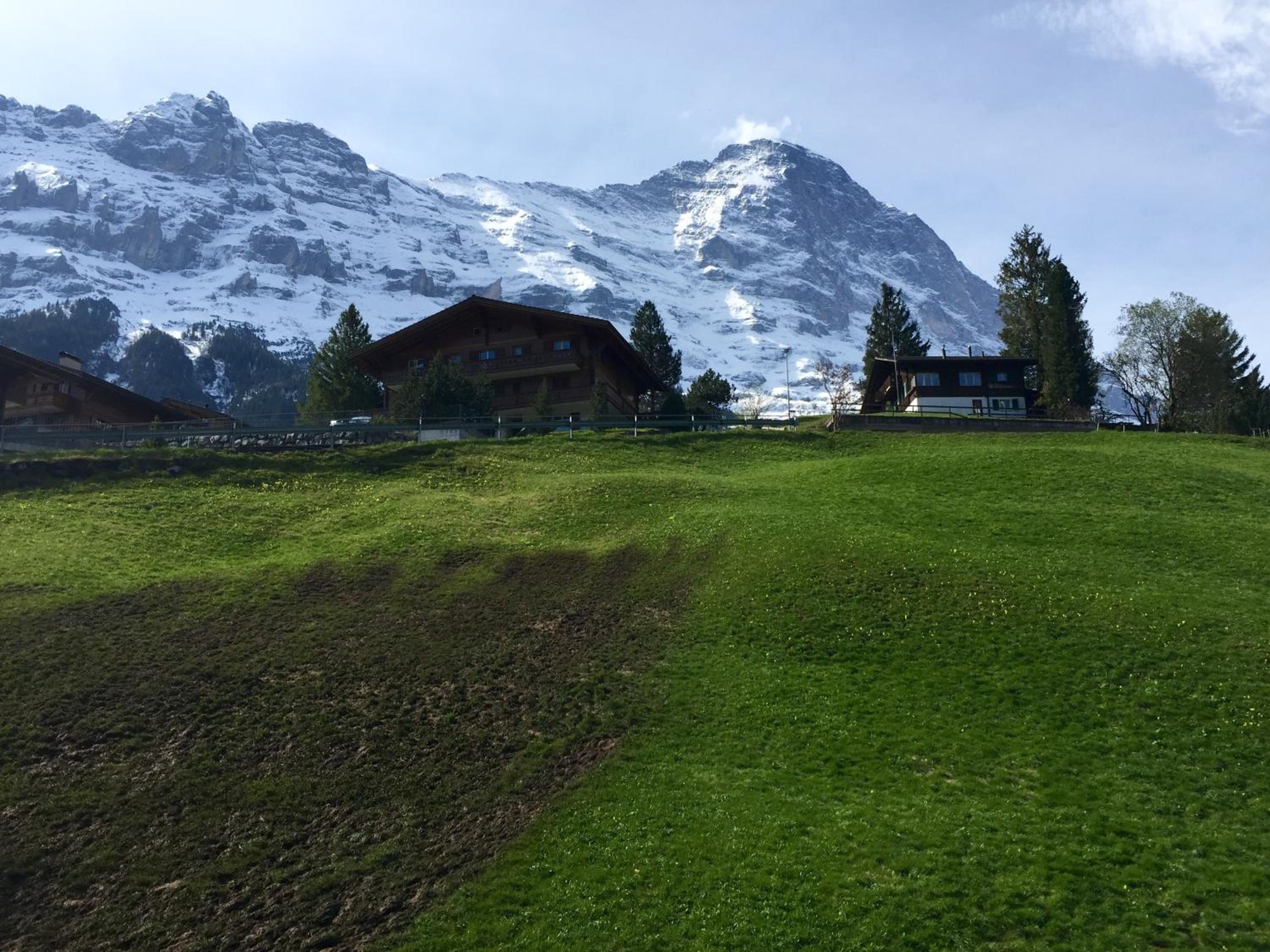 Amazing Apartment EIGER Grindelwald view 5