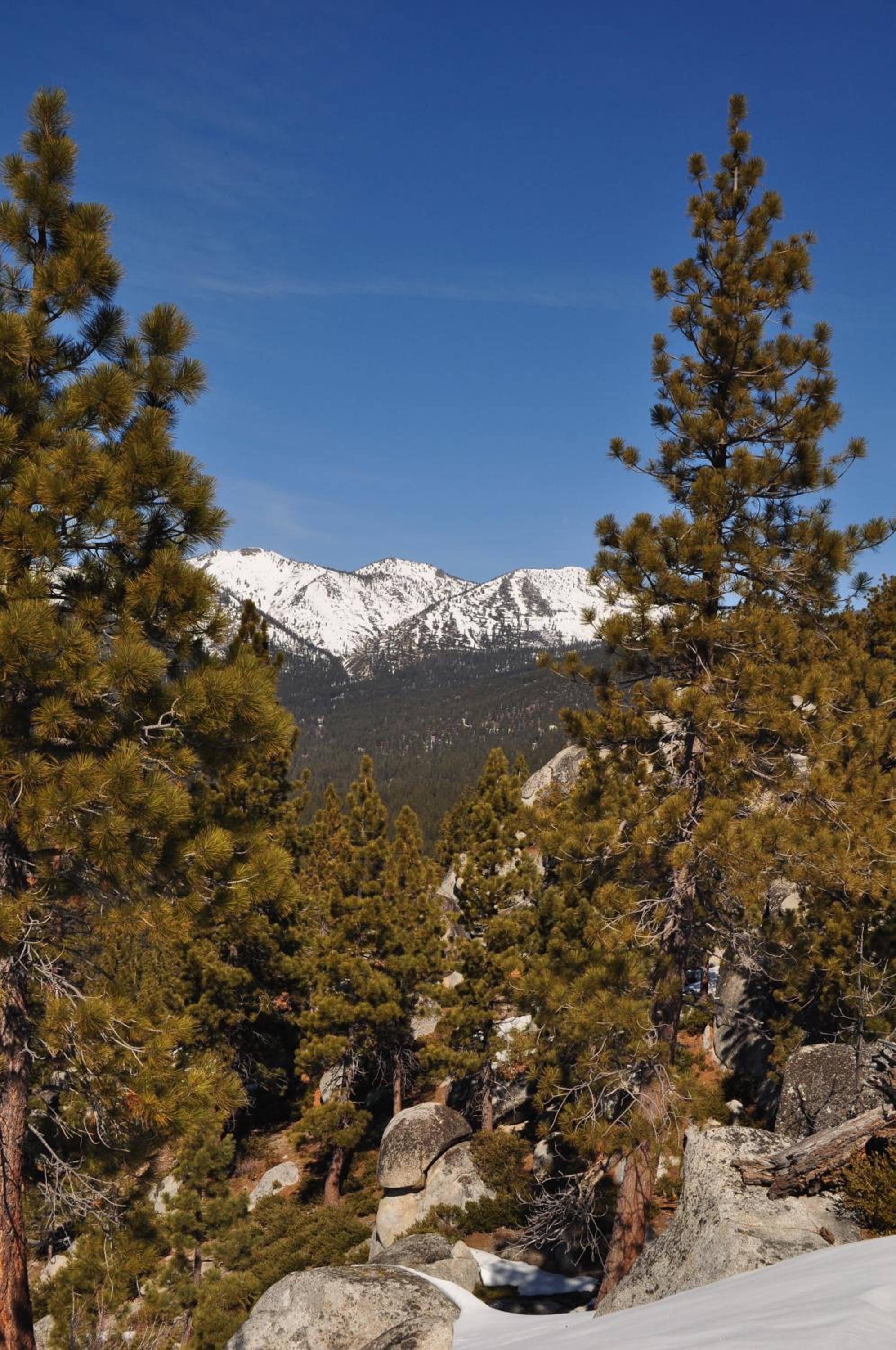 Lake Tahoe Vacations - North Lake Lodges Villas - Property Image 19