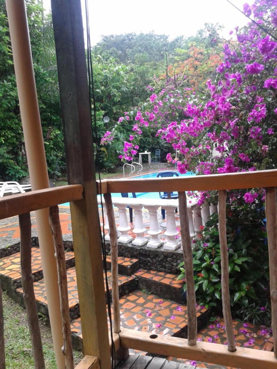 Selvablanca Hostel