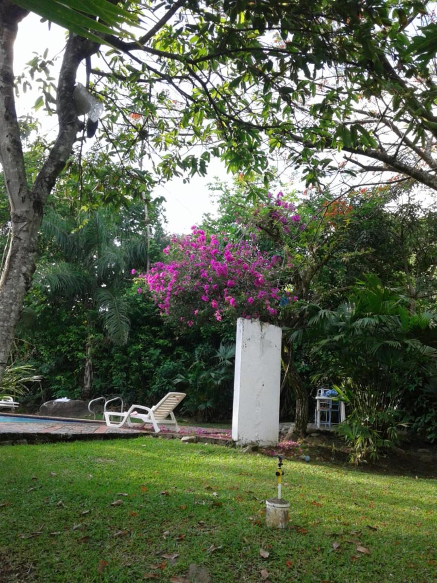Selvablanca Hostel