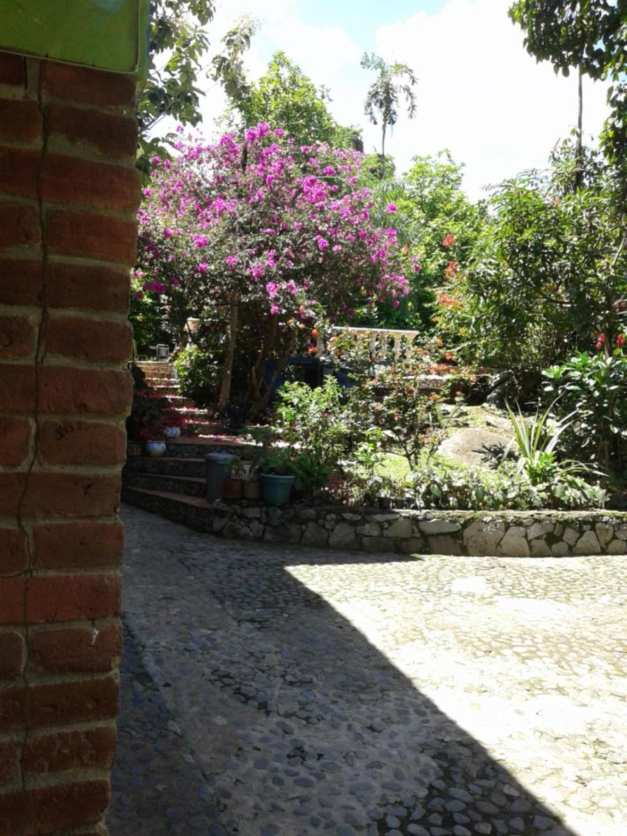 Selvablanca Hostel