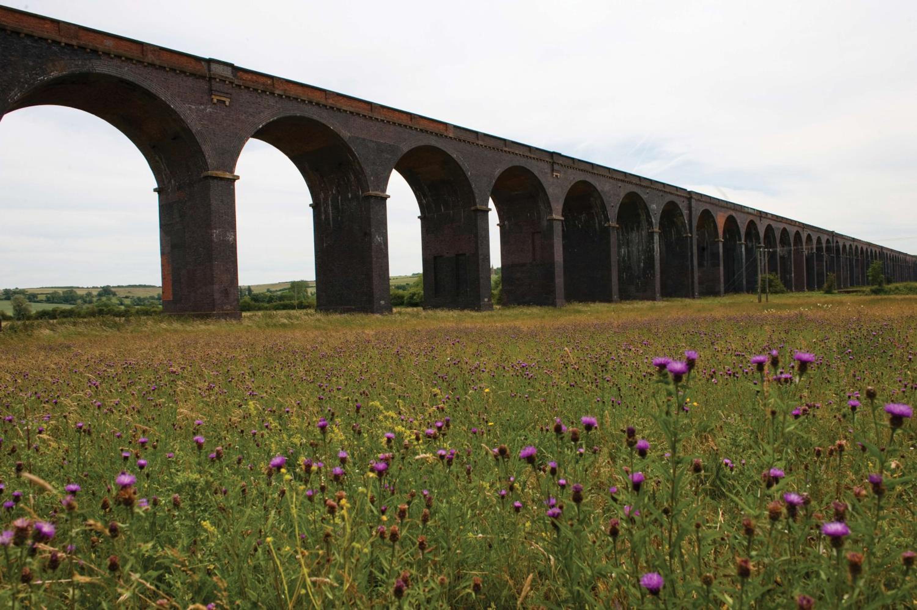 Oakham Vacations - Normanton Park Hotel, Sure Hotel Collection by Best Western - Property Image 114