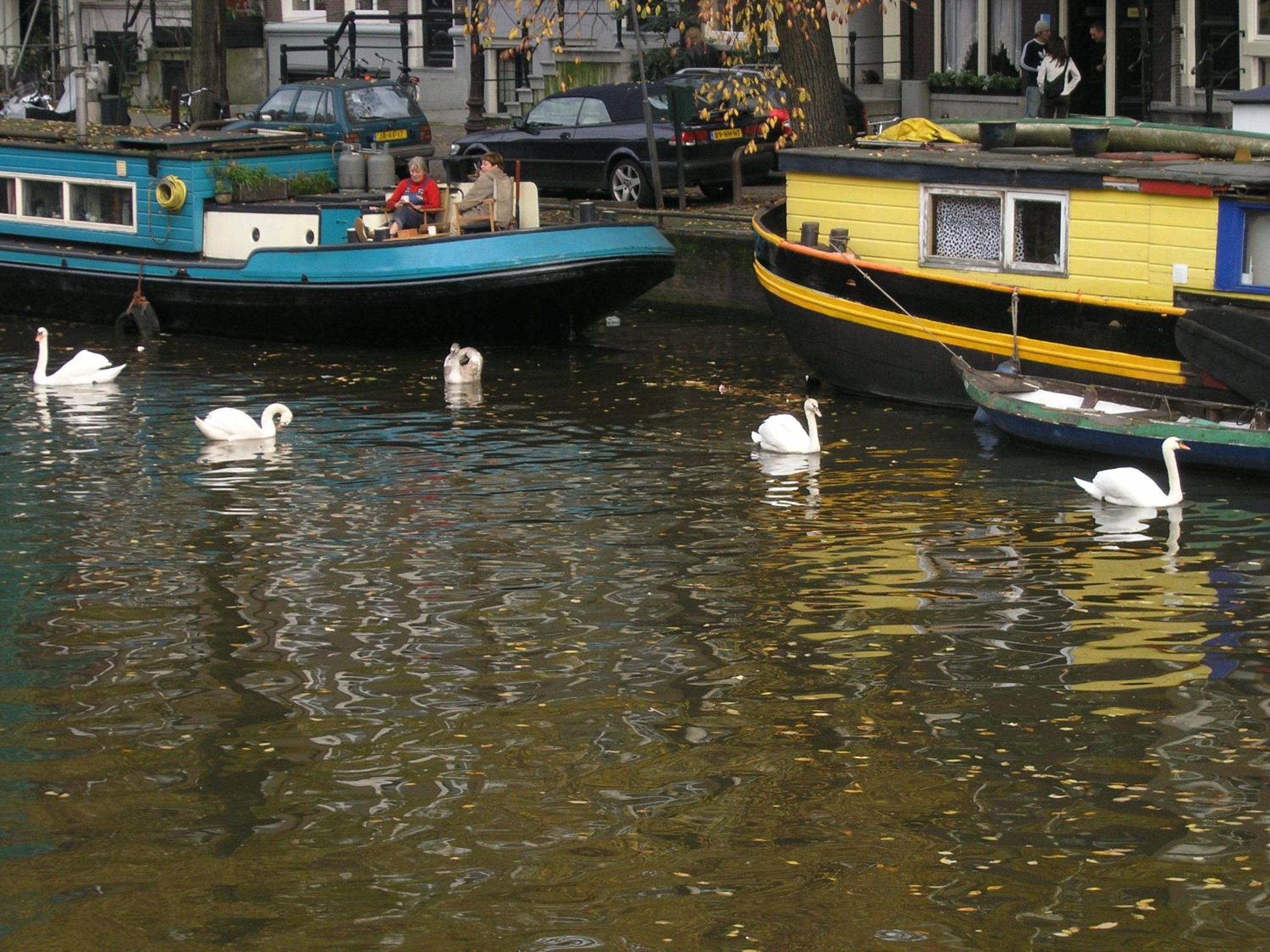 B&B Singel 100 photo 4