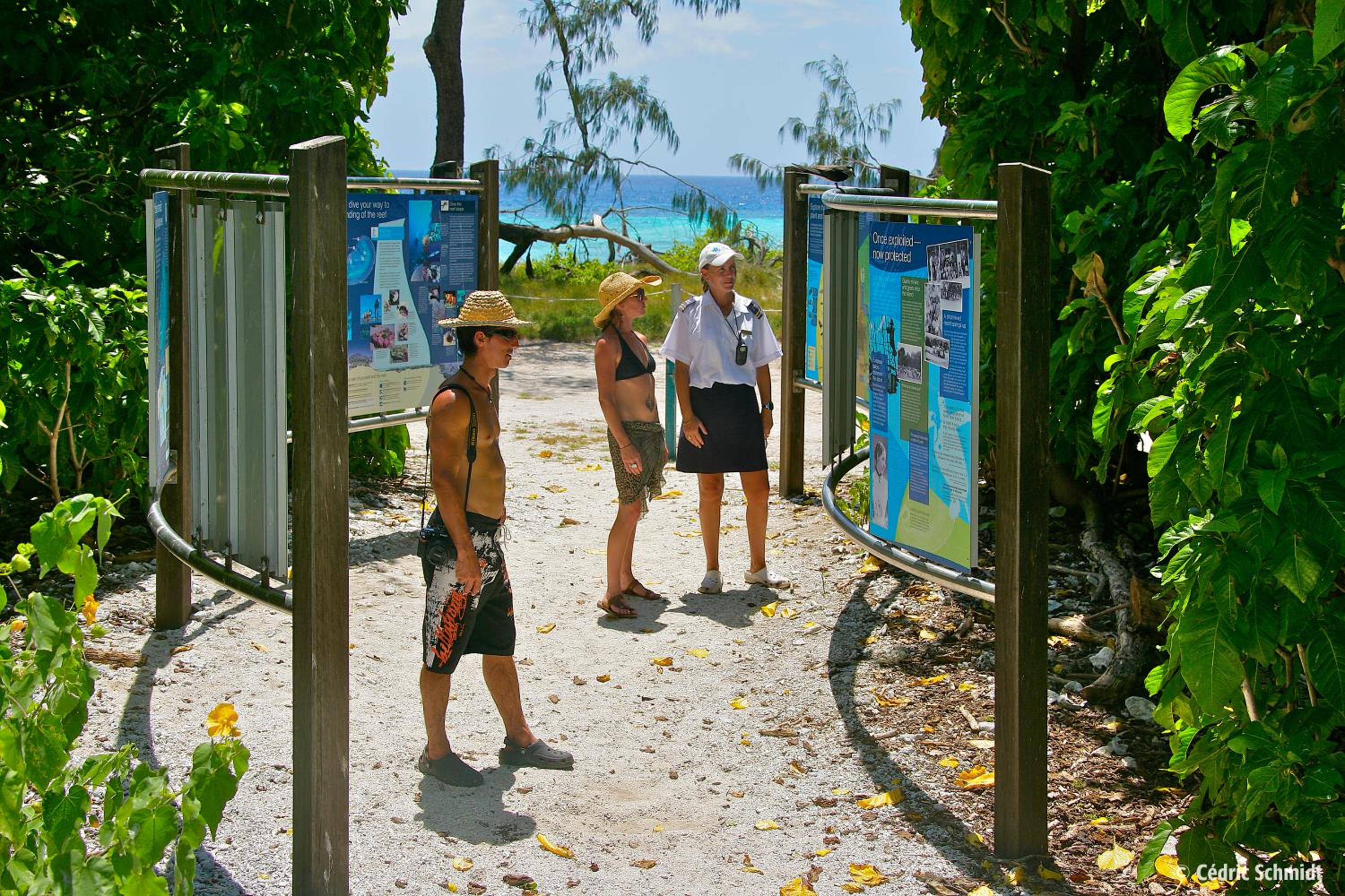 Reef Suite