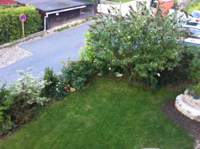 Photo 22