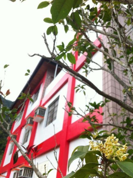 Photo 49
