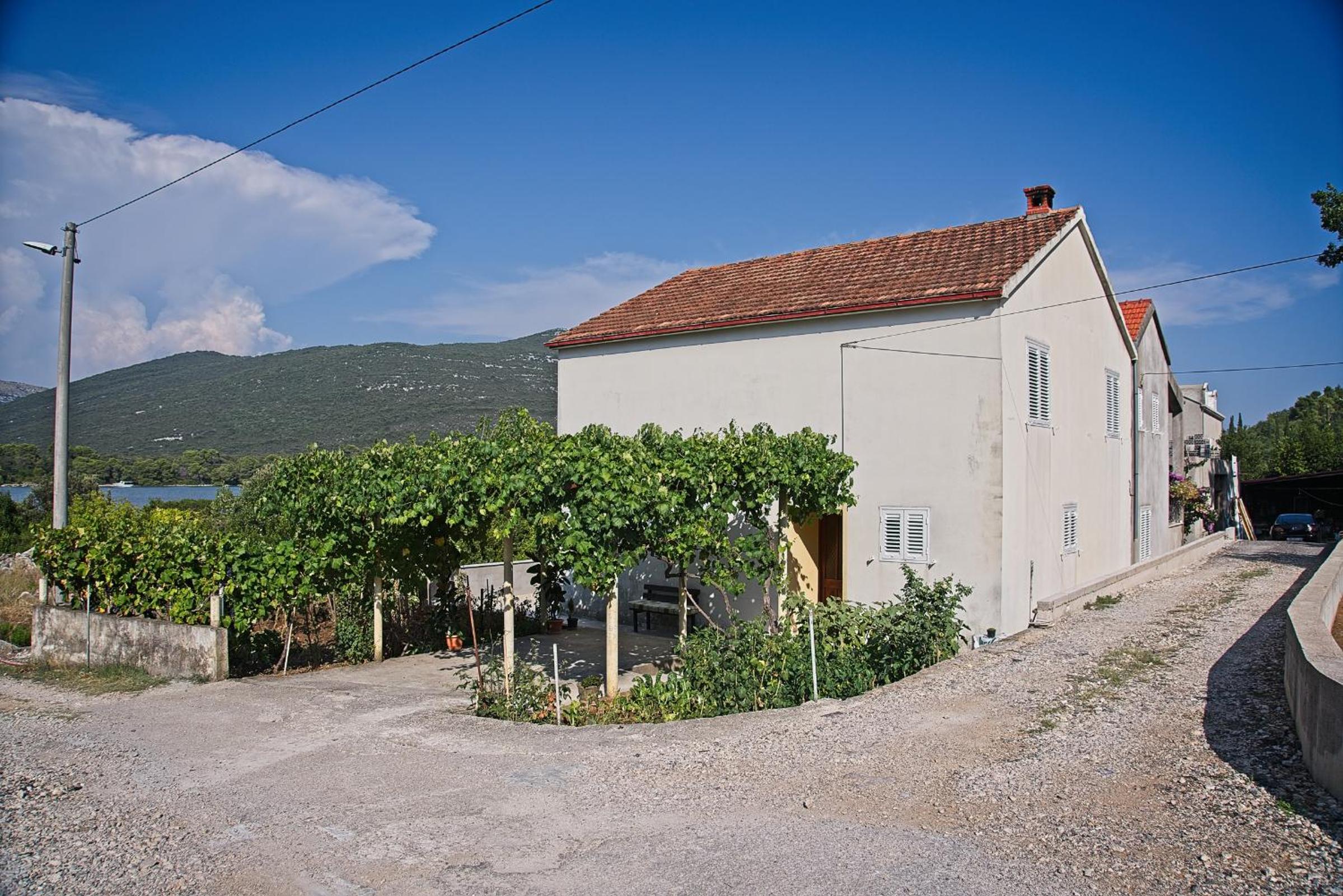 Photo 45