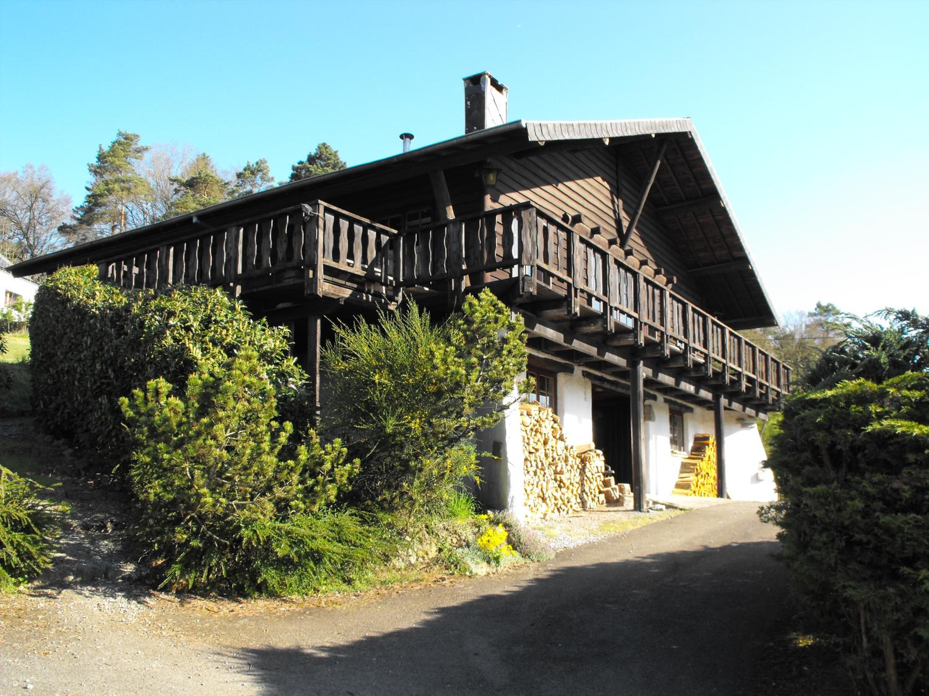 Photo 7