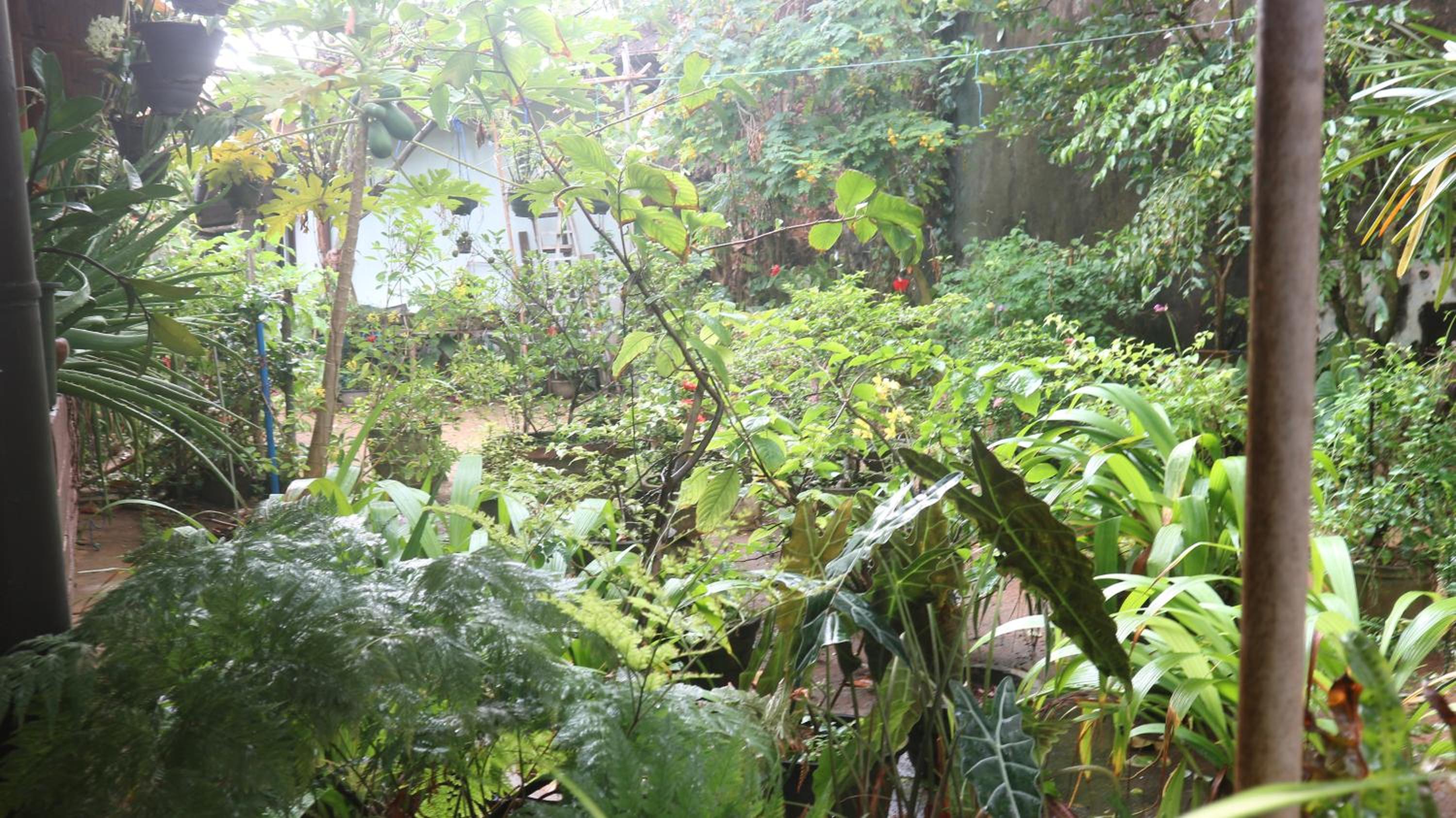 Photo 23