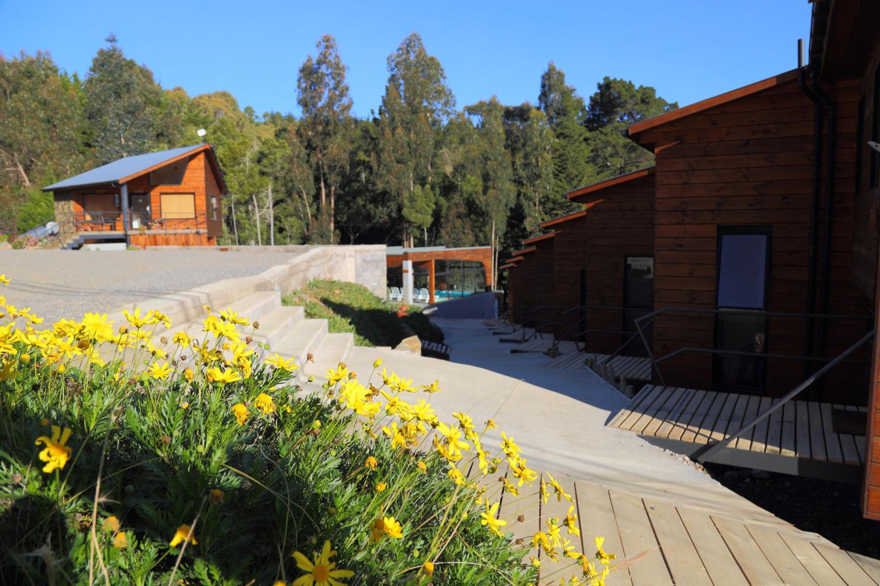 Cabañas y Spa Costa Patagonia - Piscina Climatizada