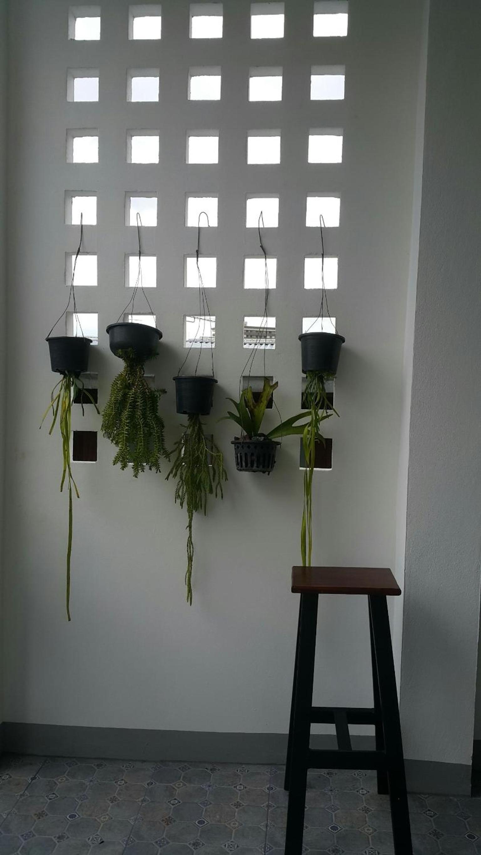 Photo 38