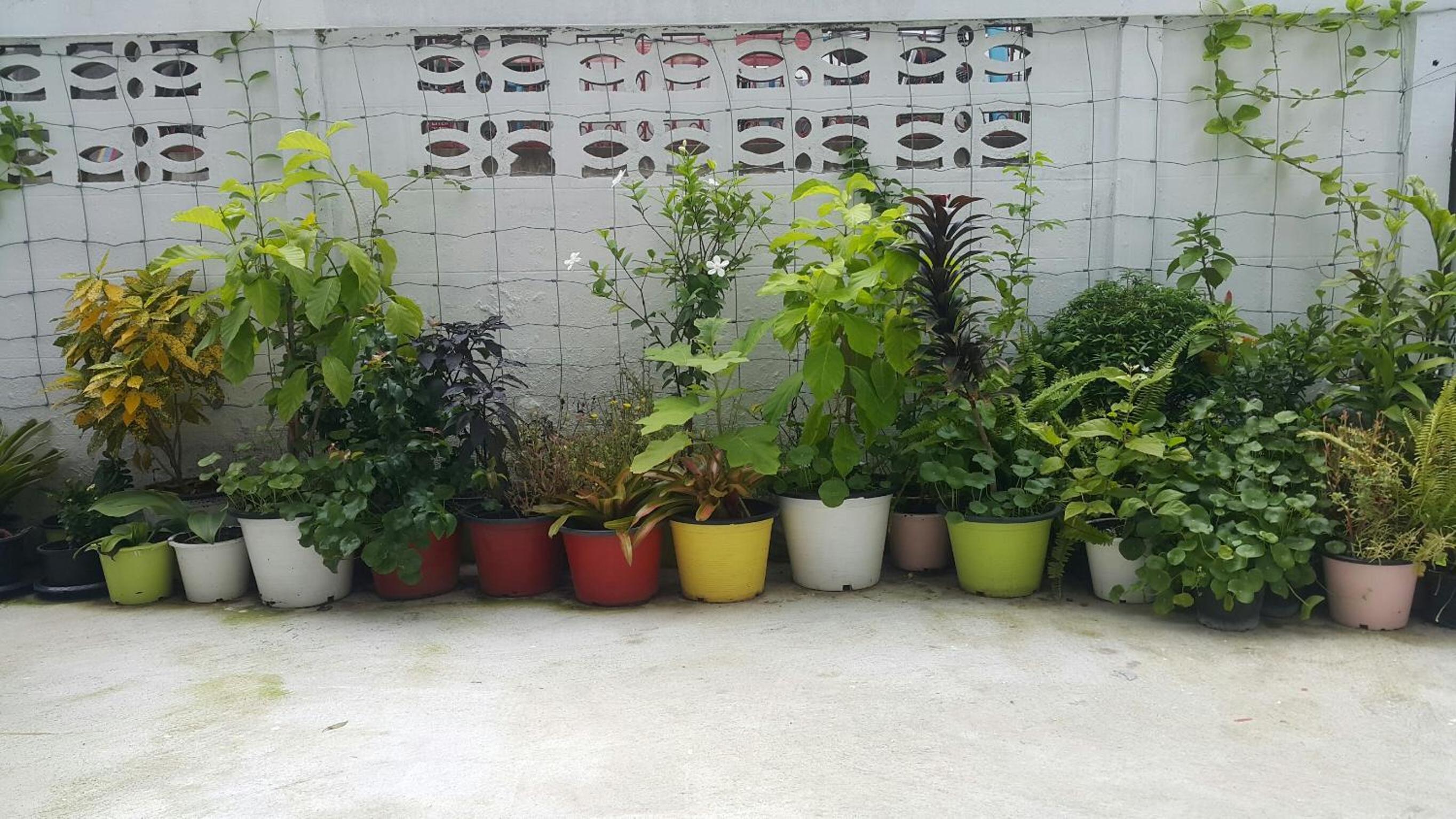 Photo 15