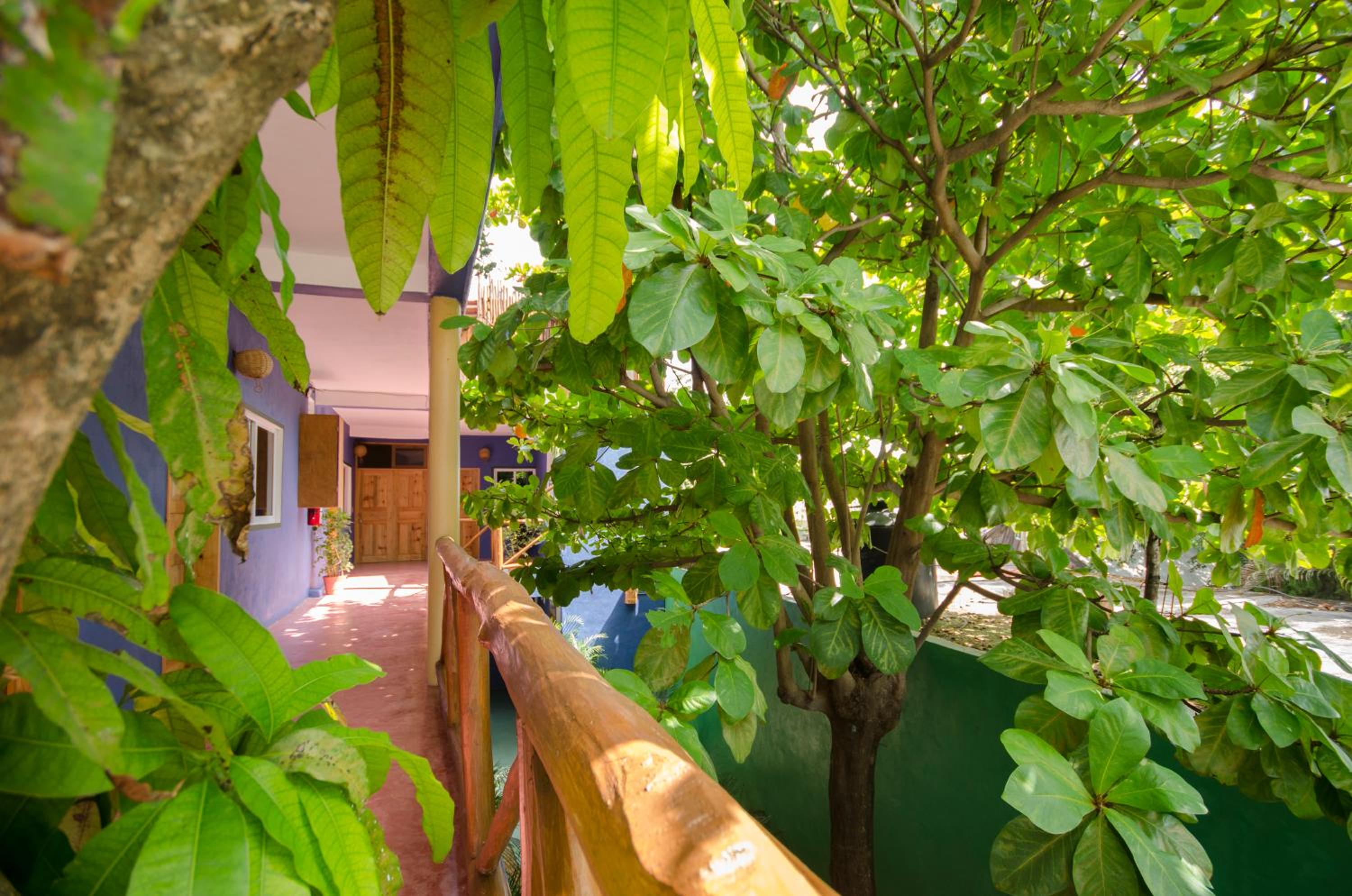 Photo 49 sur 56 de Casa Almendro