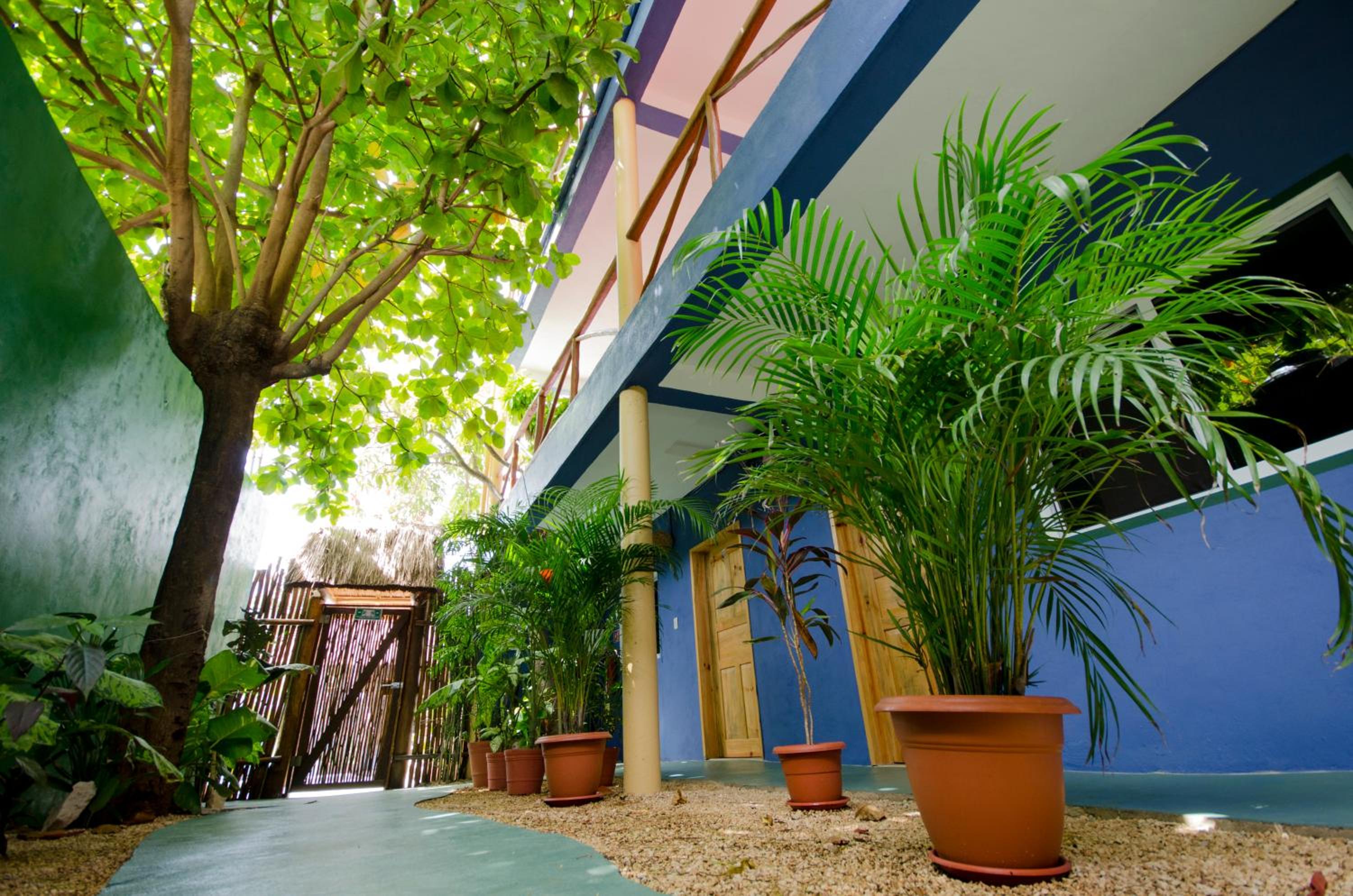 Photo 43 sur 56 de Casa Almendro