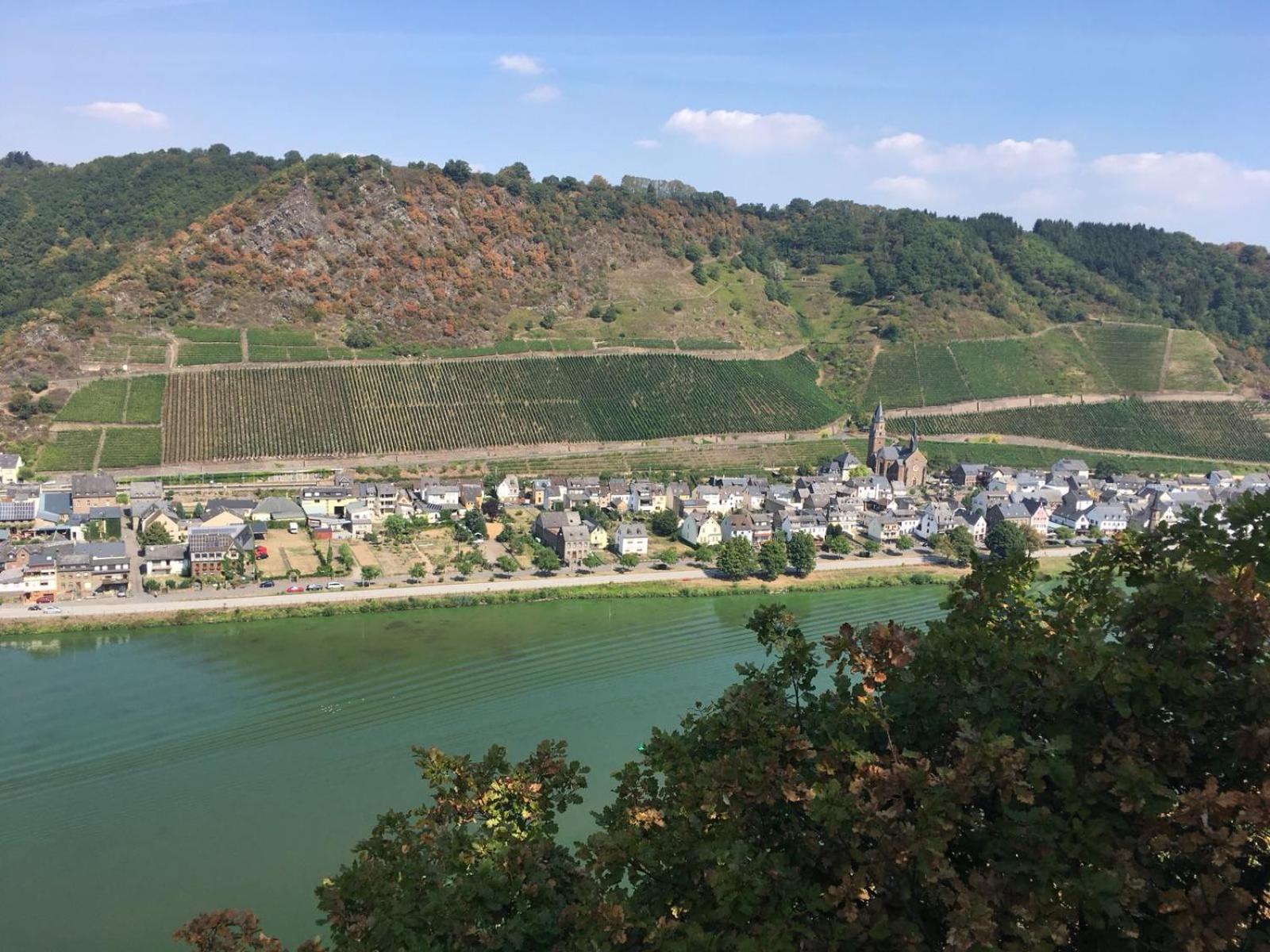 Alter Winzerhof