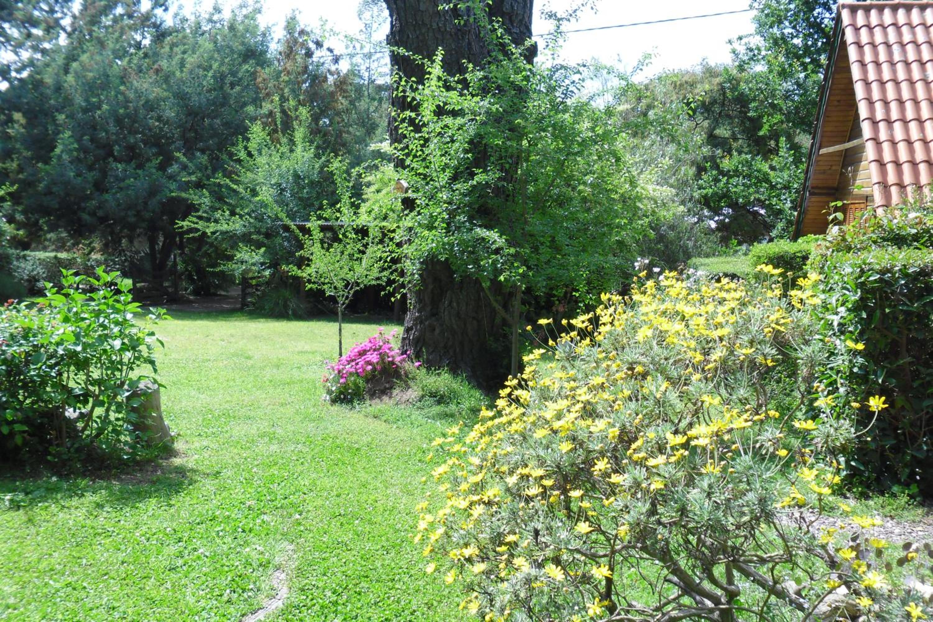 Cabañas Ñuke Mapu