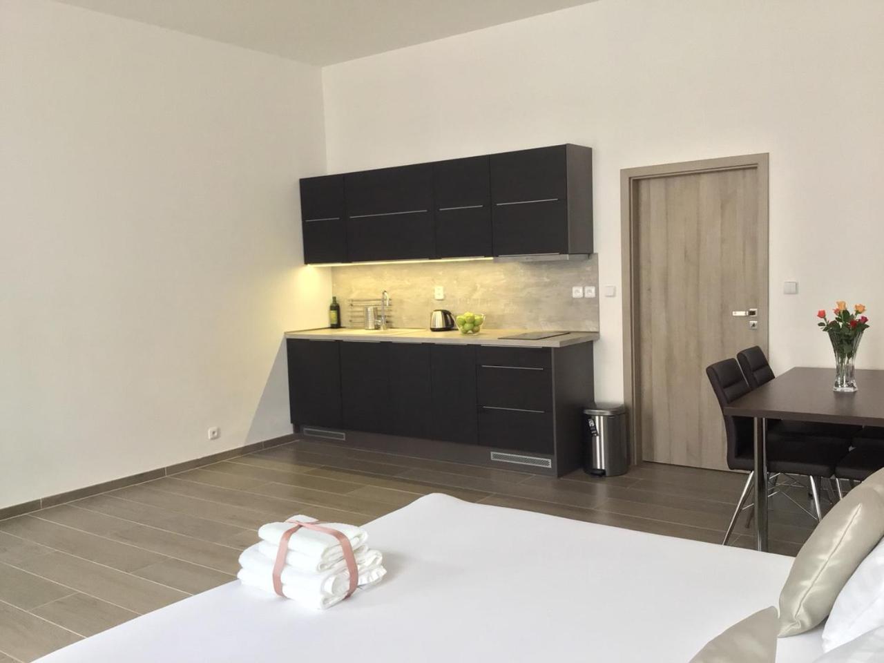 EURO APARTMENTS LIDICKÁ 39 BRNO