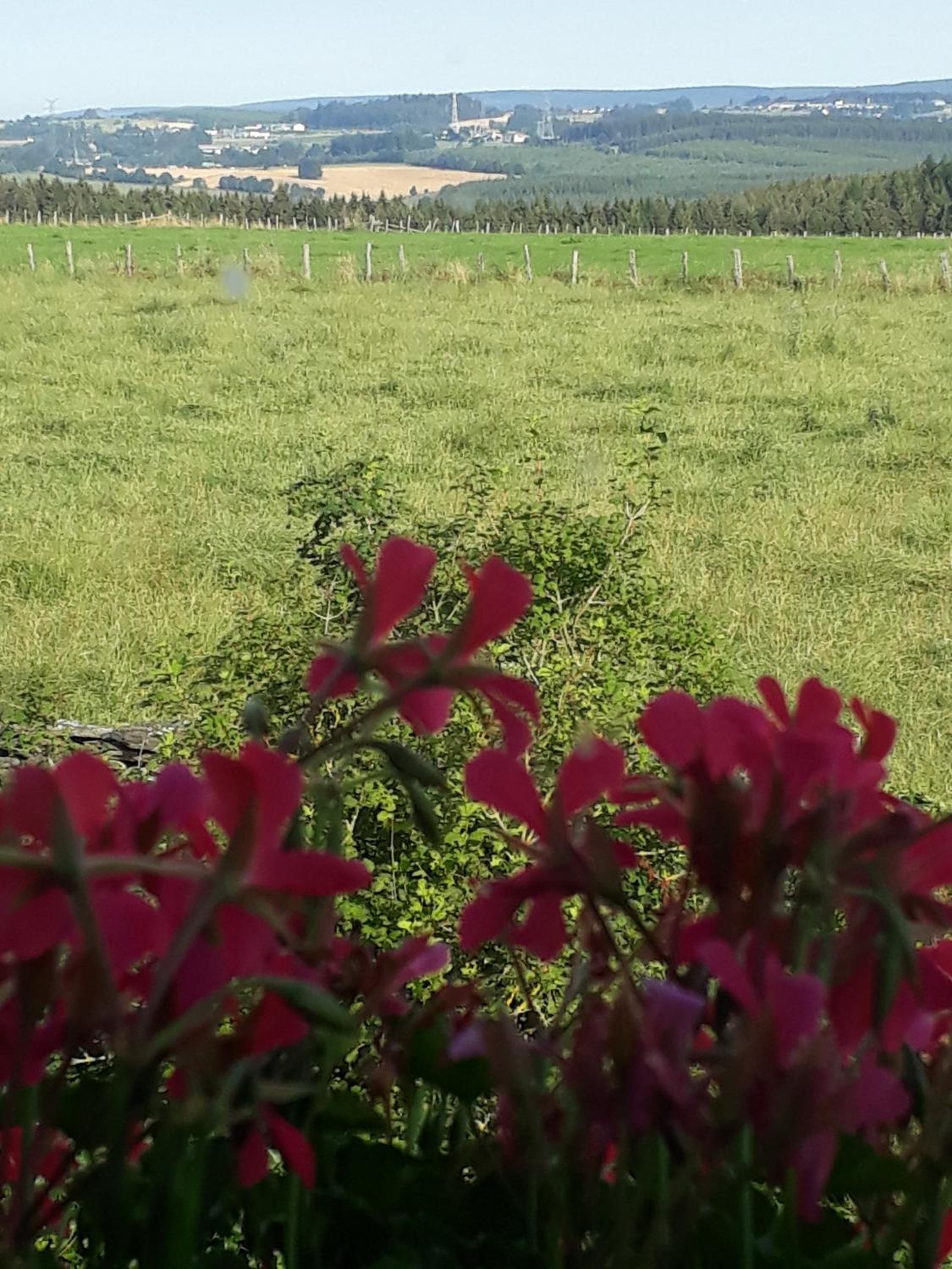 Ard'envie vakantiewoning - holiday home
