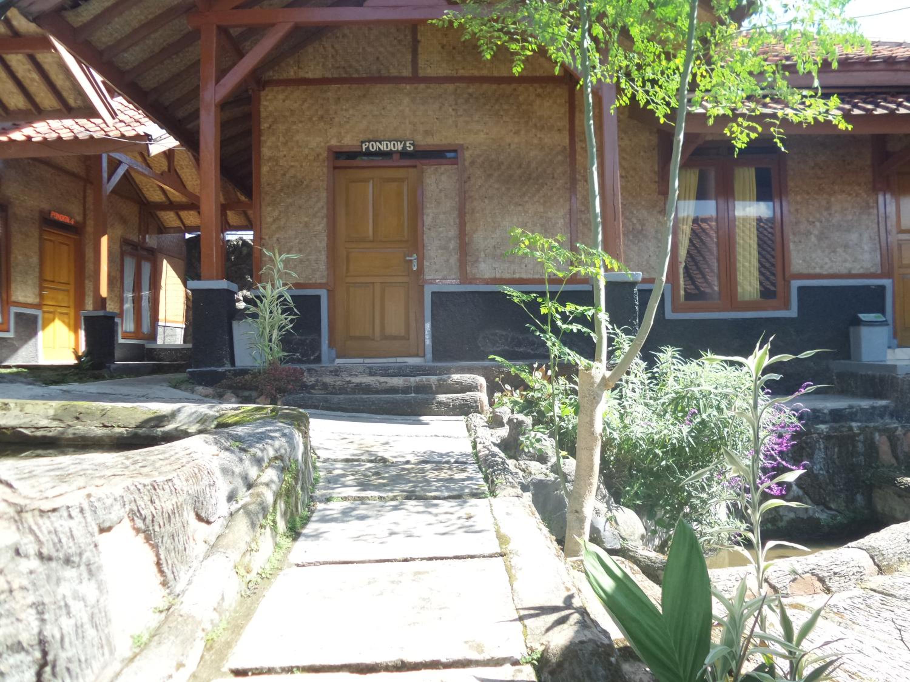 Photo 7