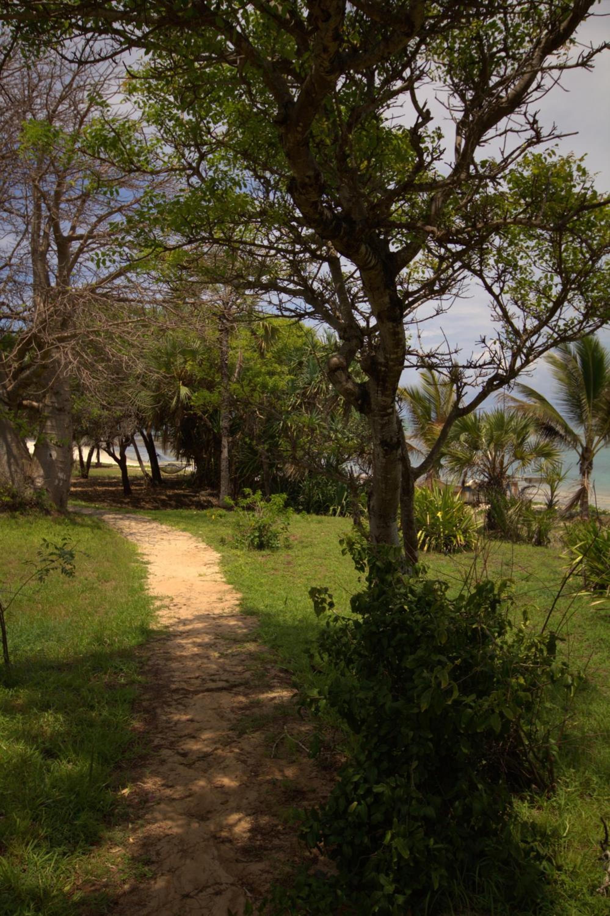 Amani Beach Resort