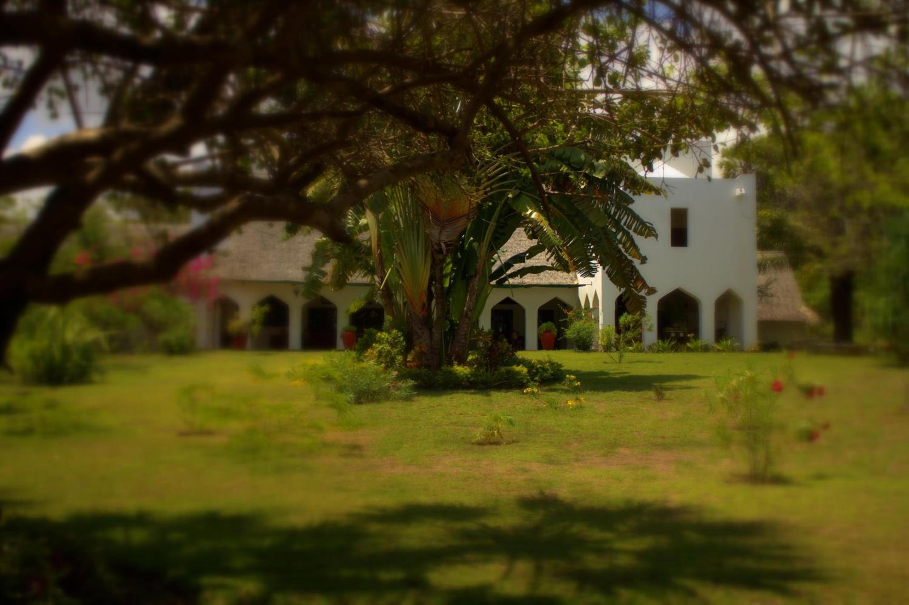 Amani Beach Resort