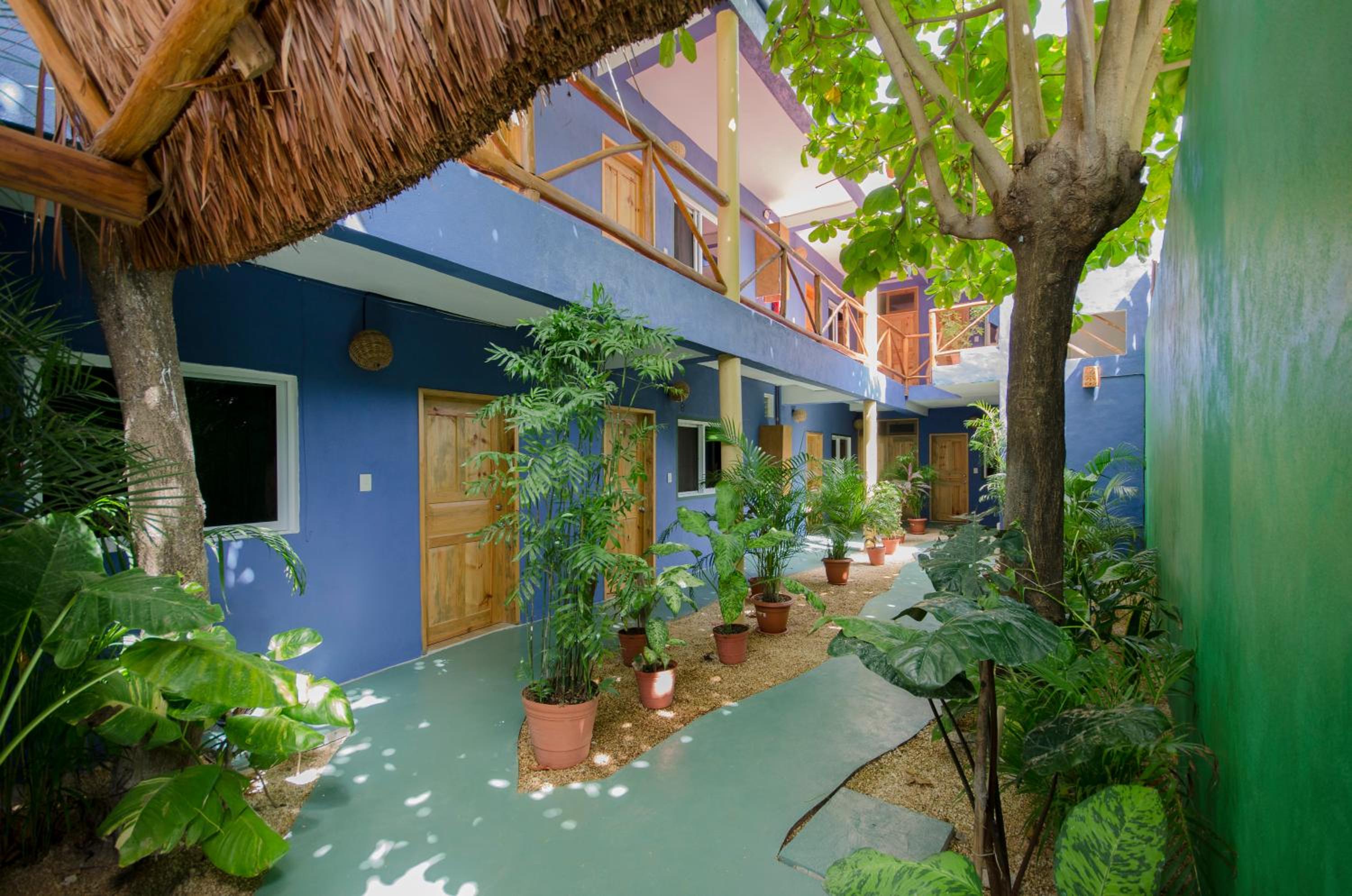 Photo 54 sur 56 de Casa Almendro