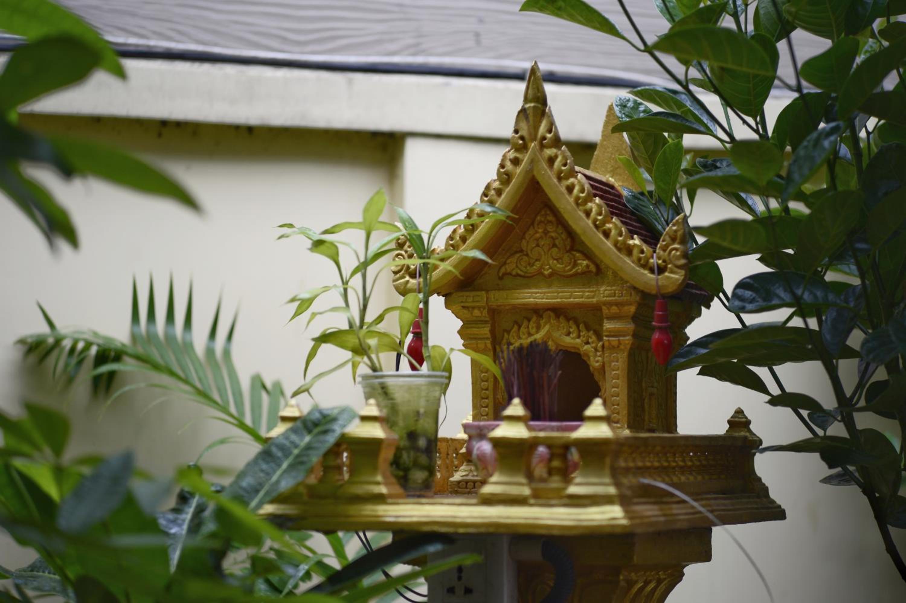 Photo 42